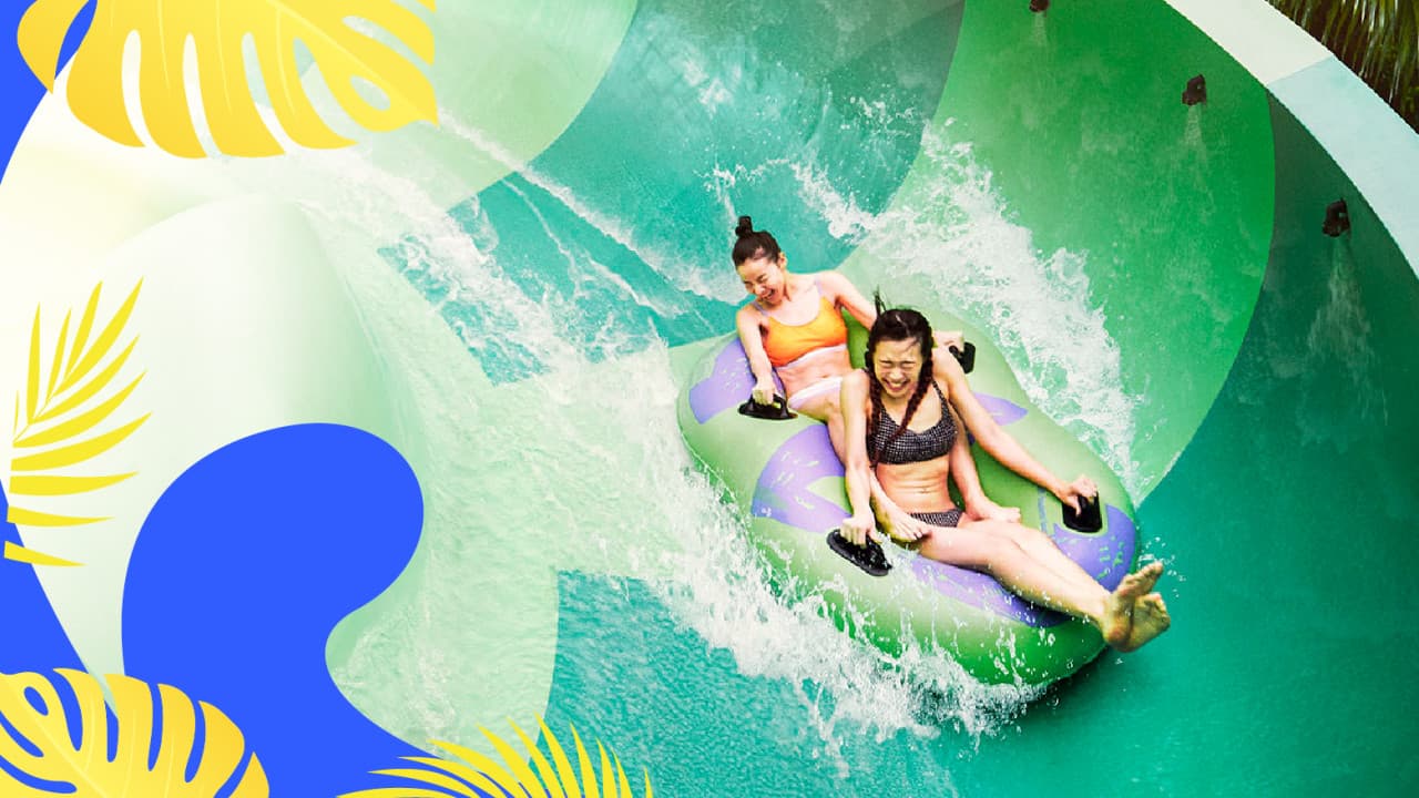 COMBO: Adventure Cove Waterpark + Gardens by the Bay Ticket - main image