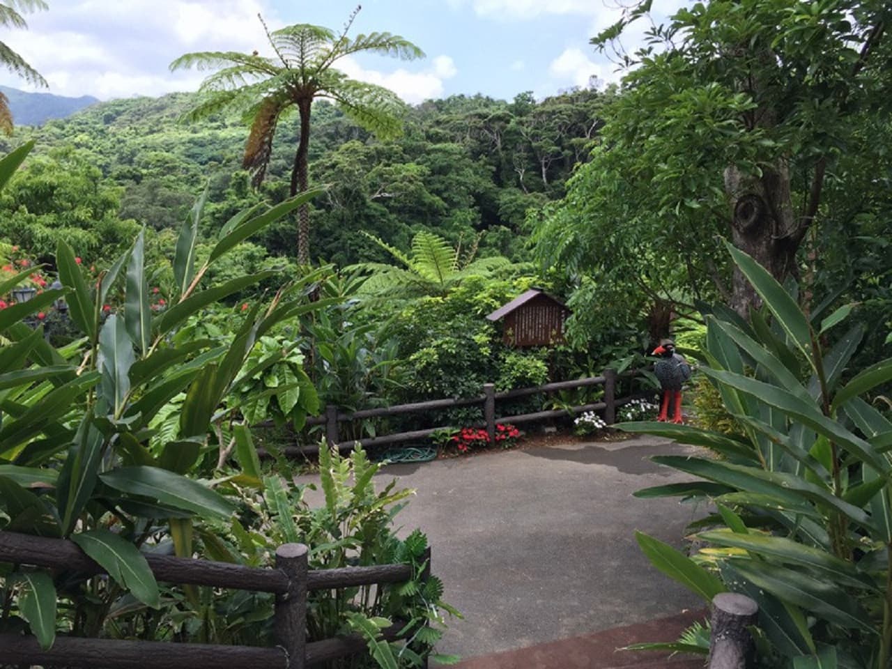 Okinawa Dino Park Yanbaru Subtropical Forest Ticket - image 9