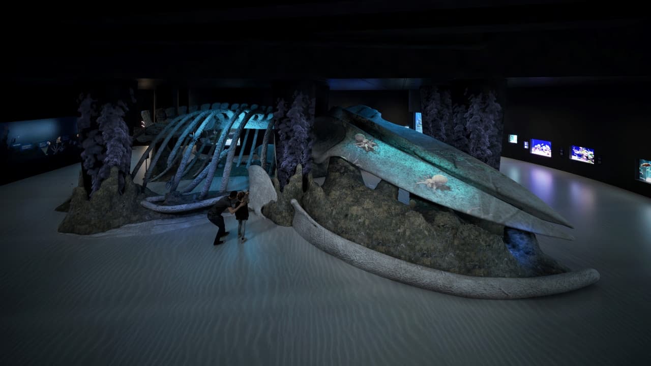 Singapore Oceanarium Insider Experience - image 6