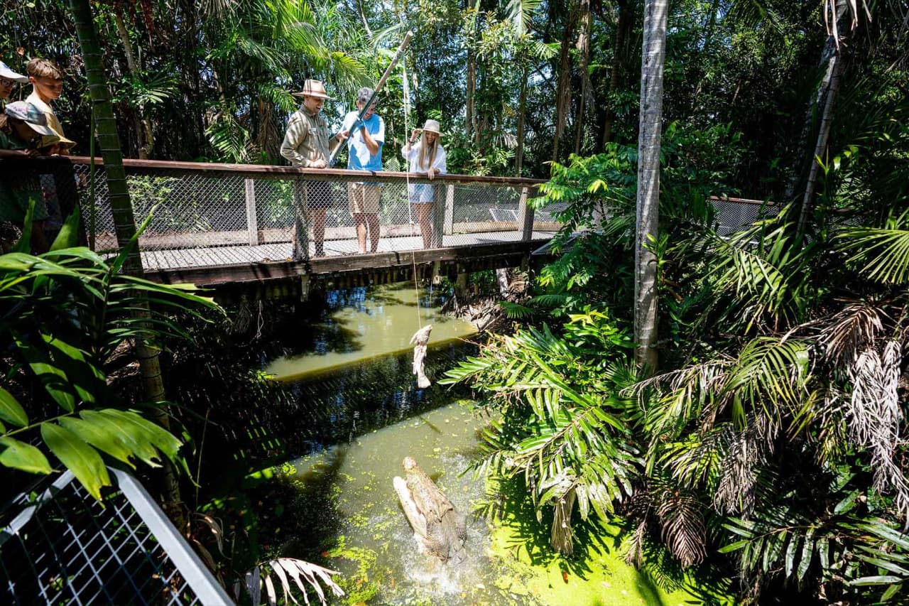 Wildlife Habitat Port Douglas Ticket - image 8