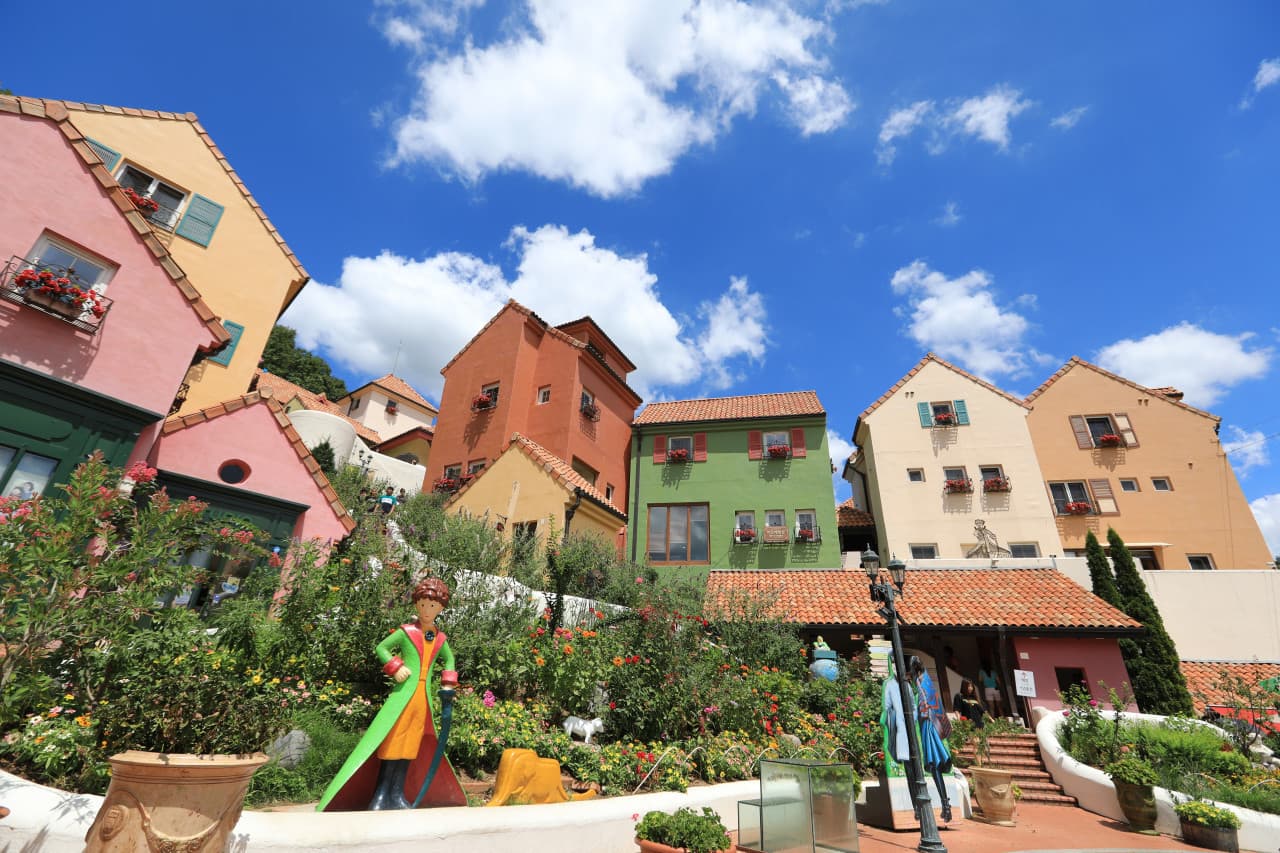 Nami Island, Petite France, Garden of Morning Calm, and Gangchon Rail Bike Tour from Seoul - image 7