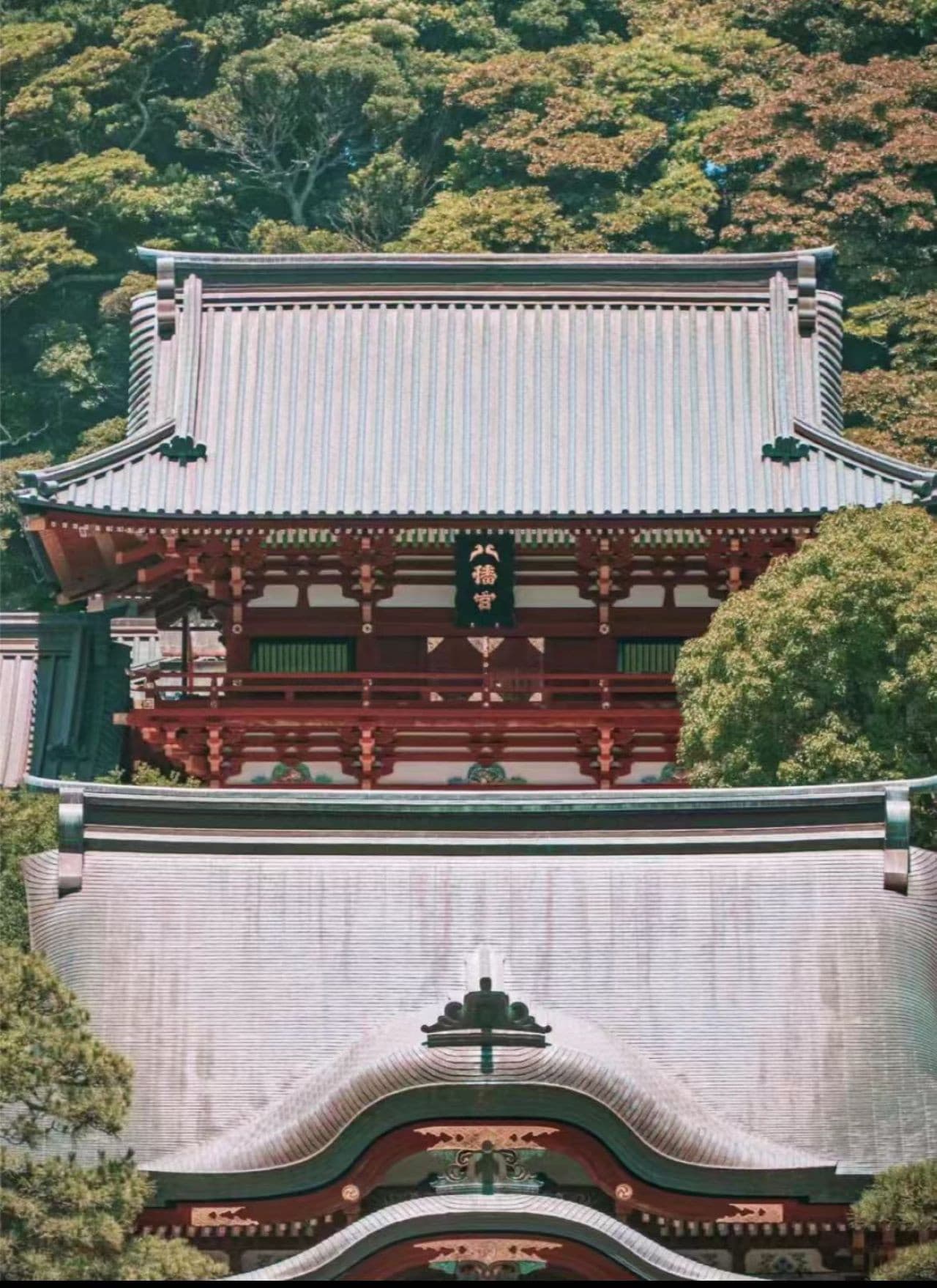 Kotoku-in Temple and Enoshima Day Tour from Tokyo - image 3