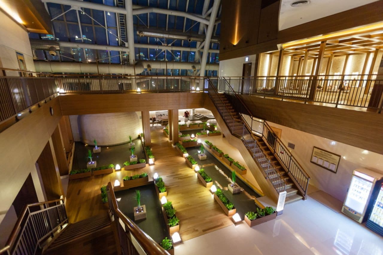 Centum City Spa Land - imagen 12