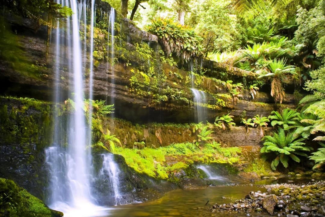 Russell Falls Tour from Hobart - imagen 2