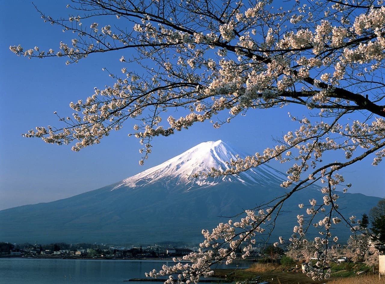 Mount Fuji and Hakone Tour - image 8