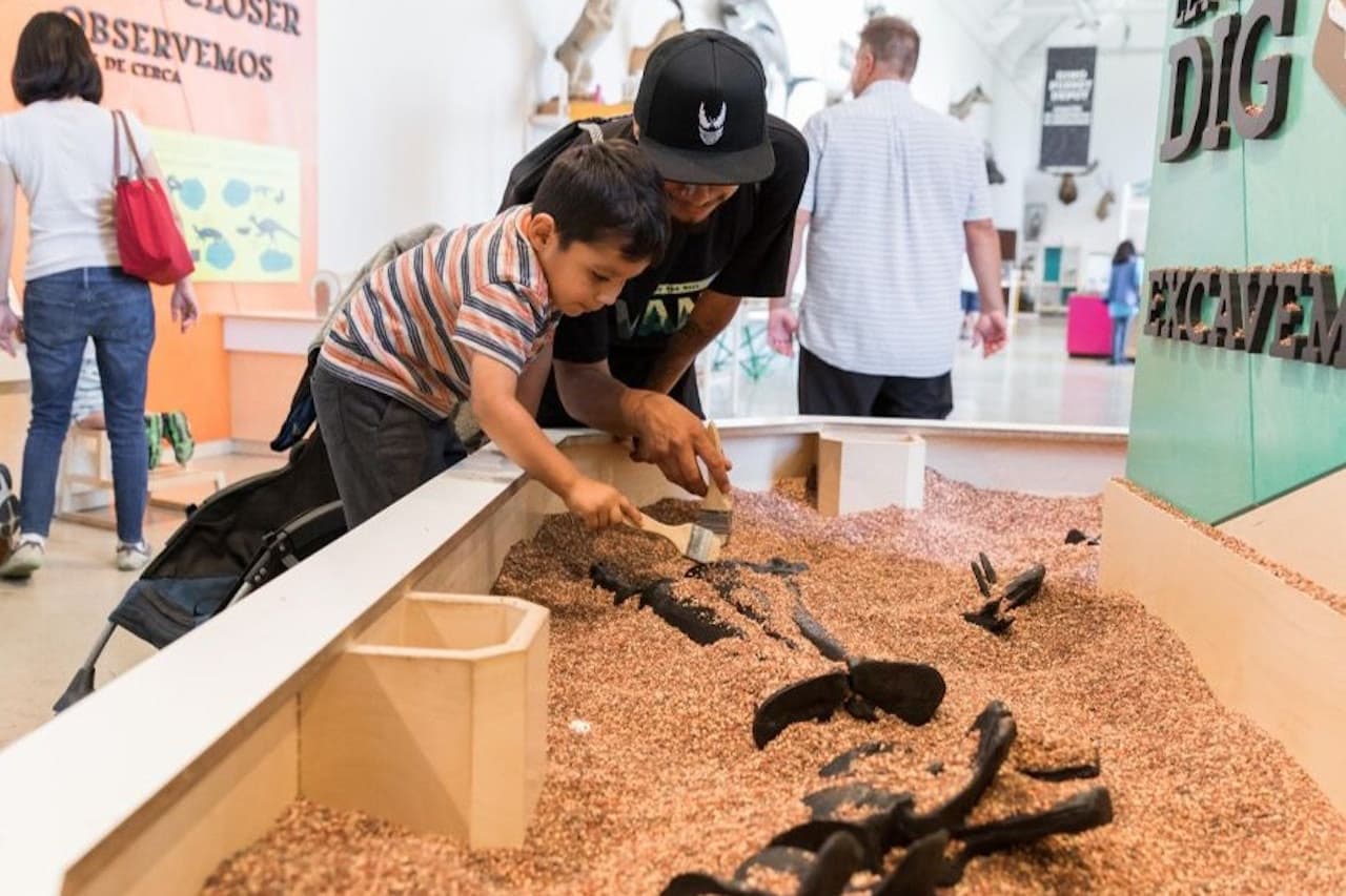 Natural History Museum of Los Angeles County - image 2
