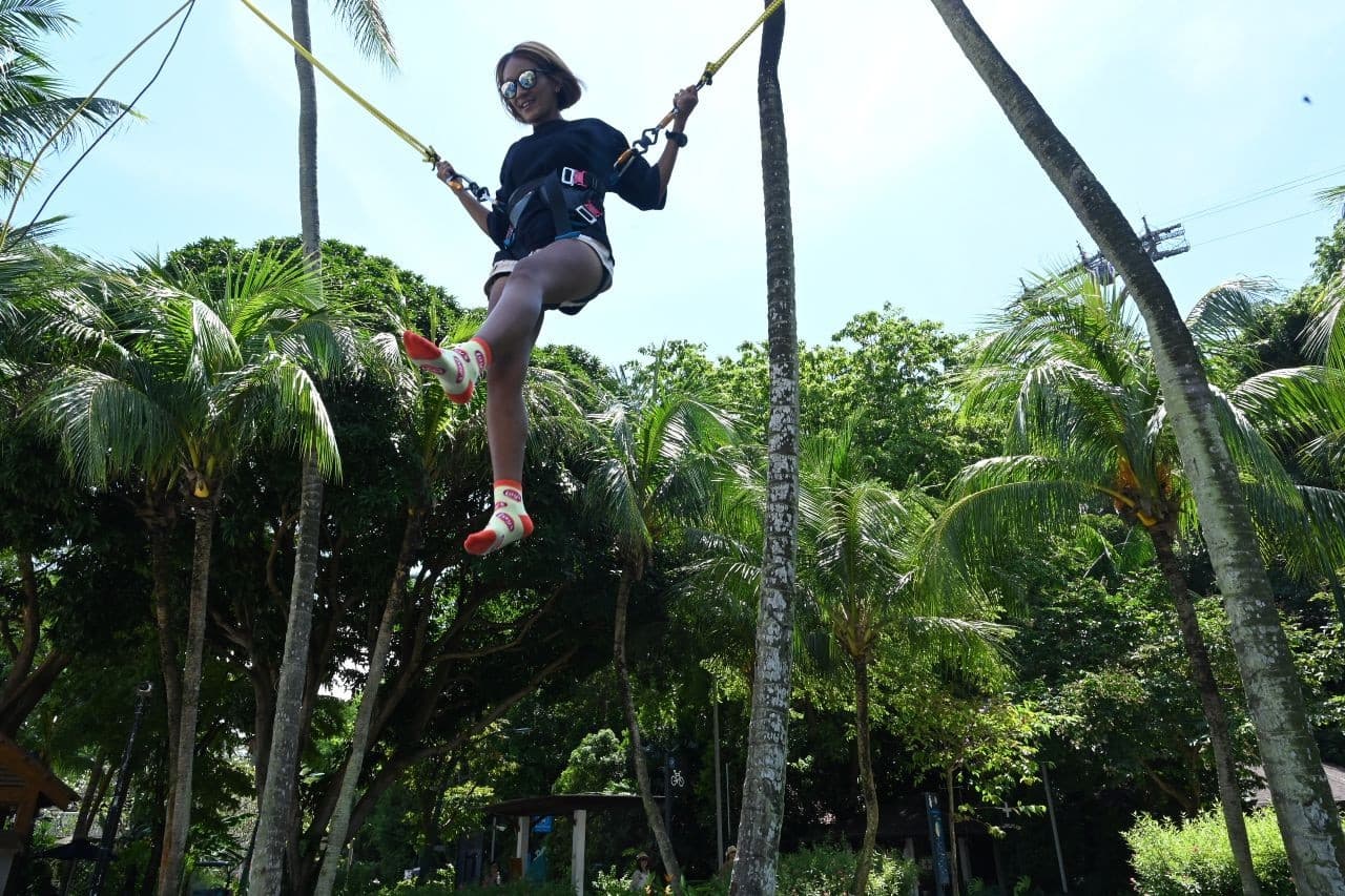 Mega Adventure Park Singapore Ticket - image 16