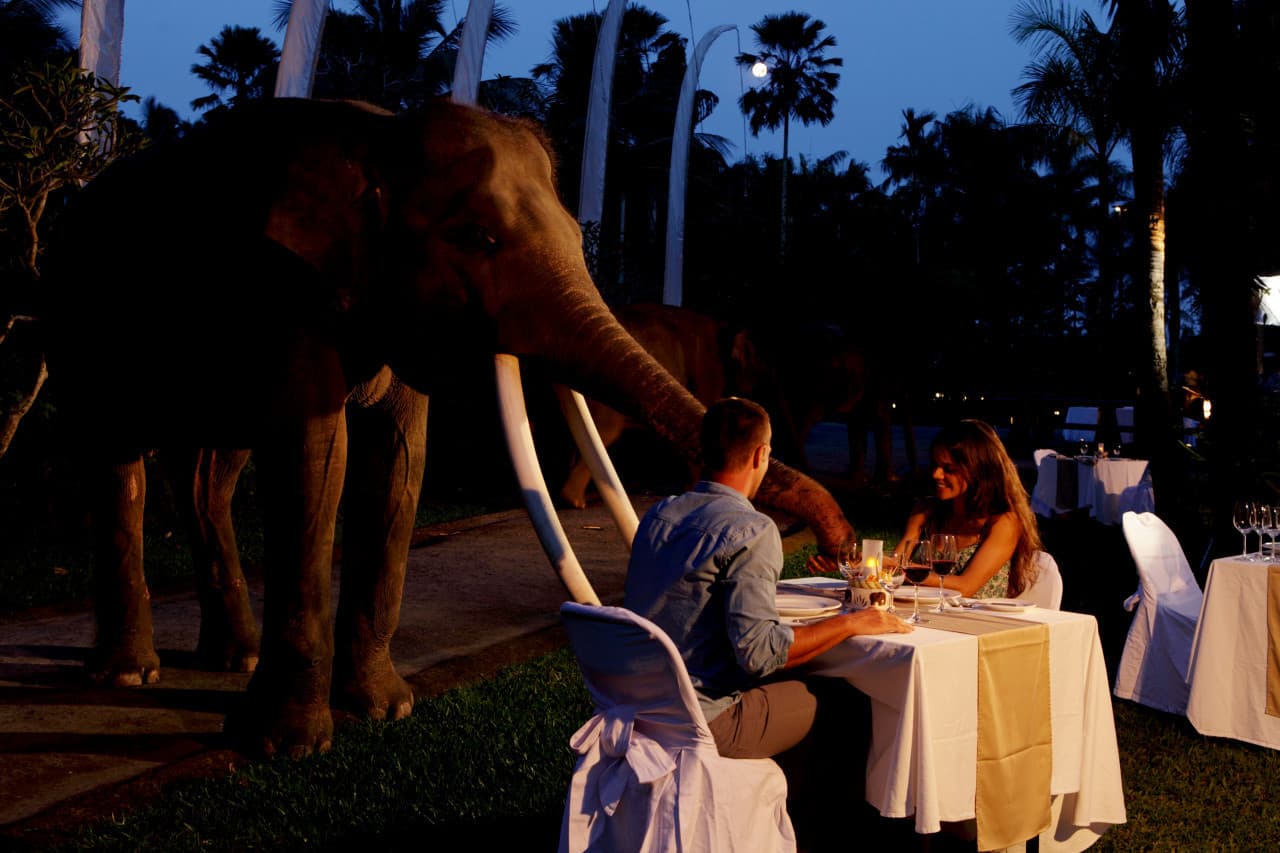 Mason Elephant Park Bali by Mason Adventures (Formerly known as Elephant Safari Park) - image 12