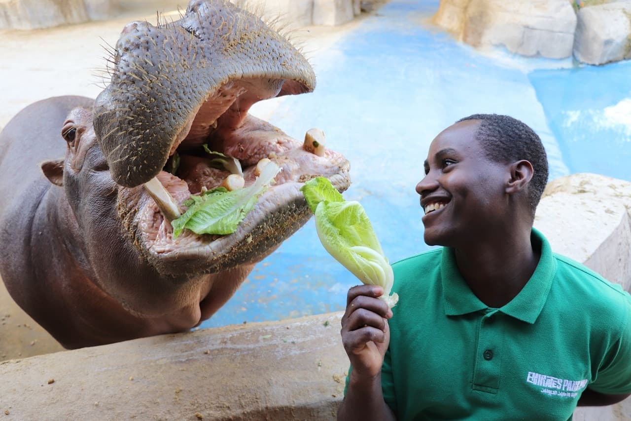 Emirates Park Zoo Ticket - image 2