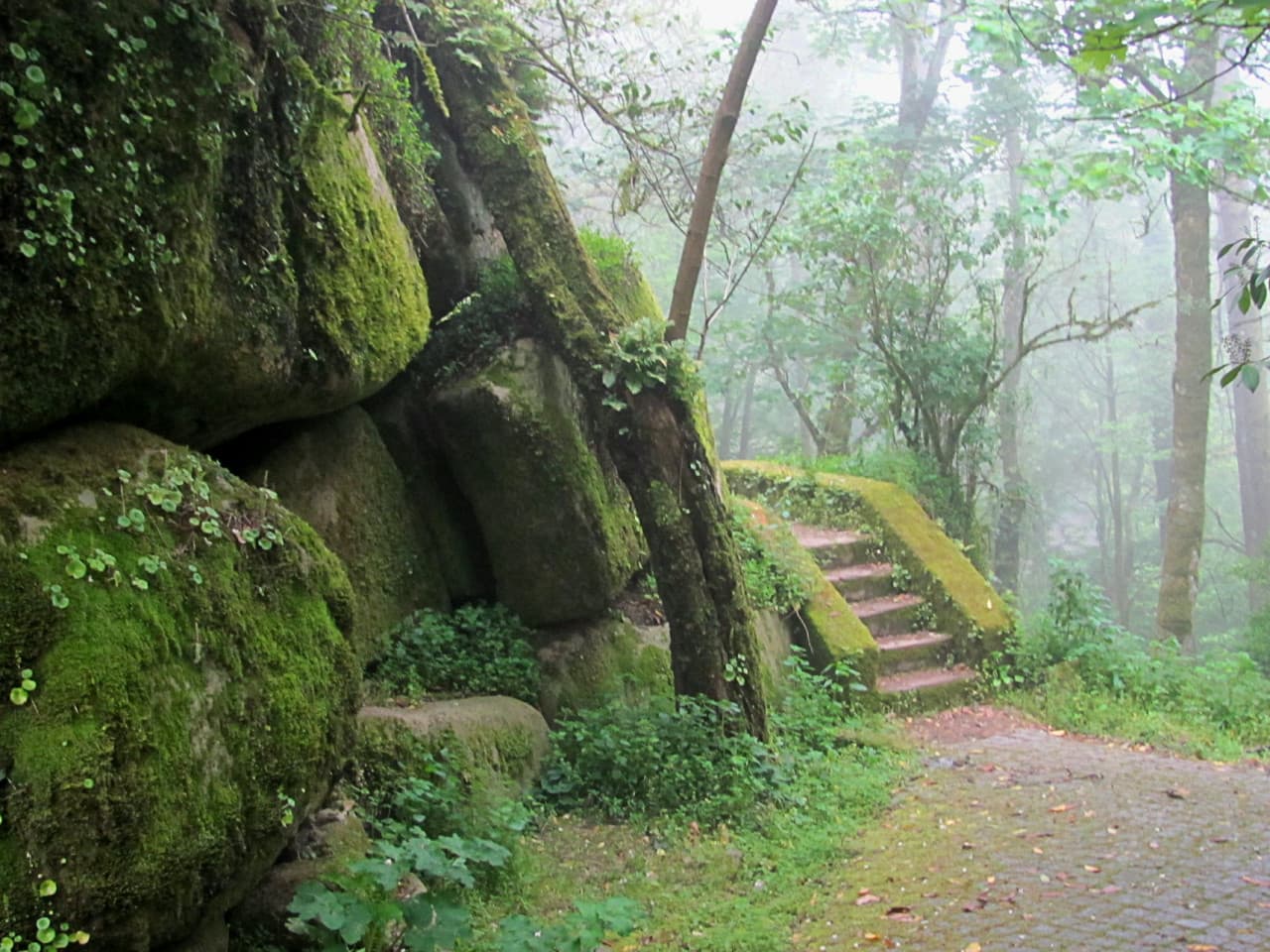 Pena Park in Sintra Ticket - image 4