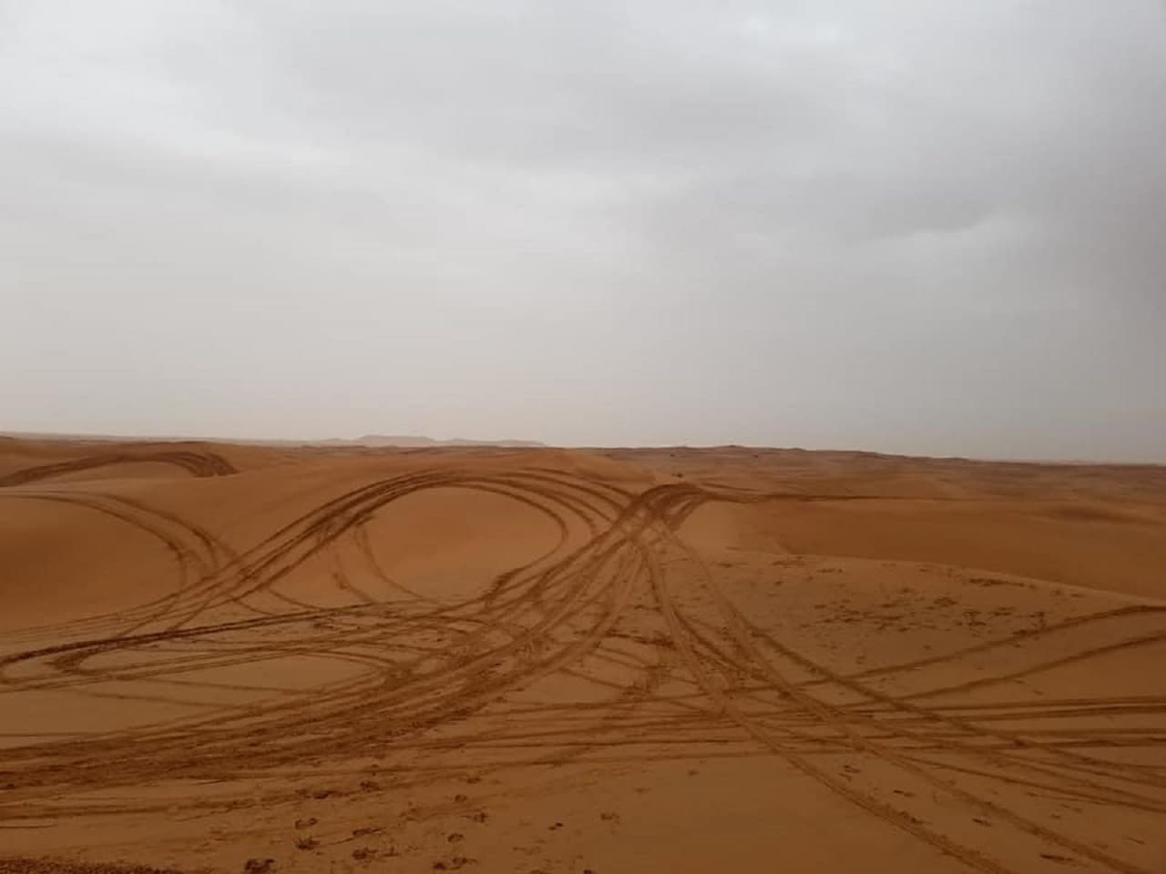 Dubai Hummer Desert Safari Private Tour - image 4