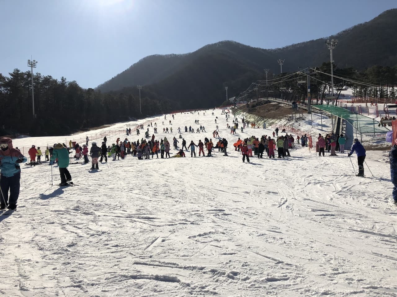 Jisan Forest Ski Resort Full-Day Tour from Seoul - image 2
