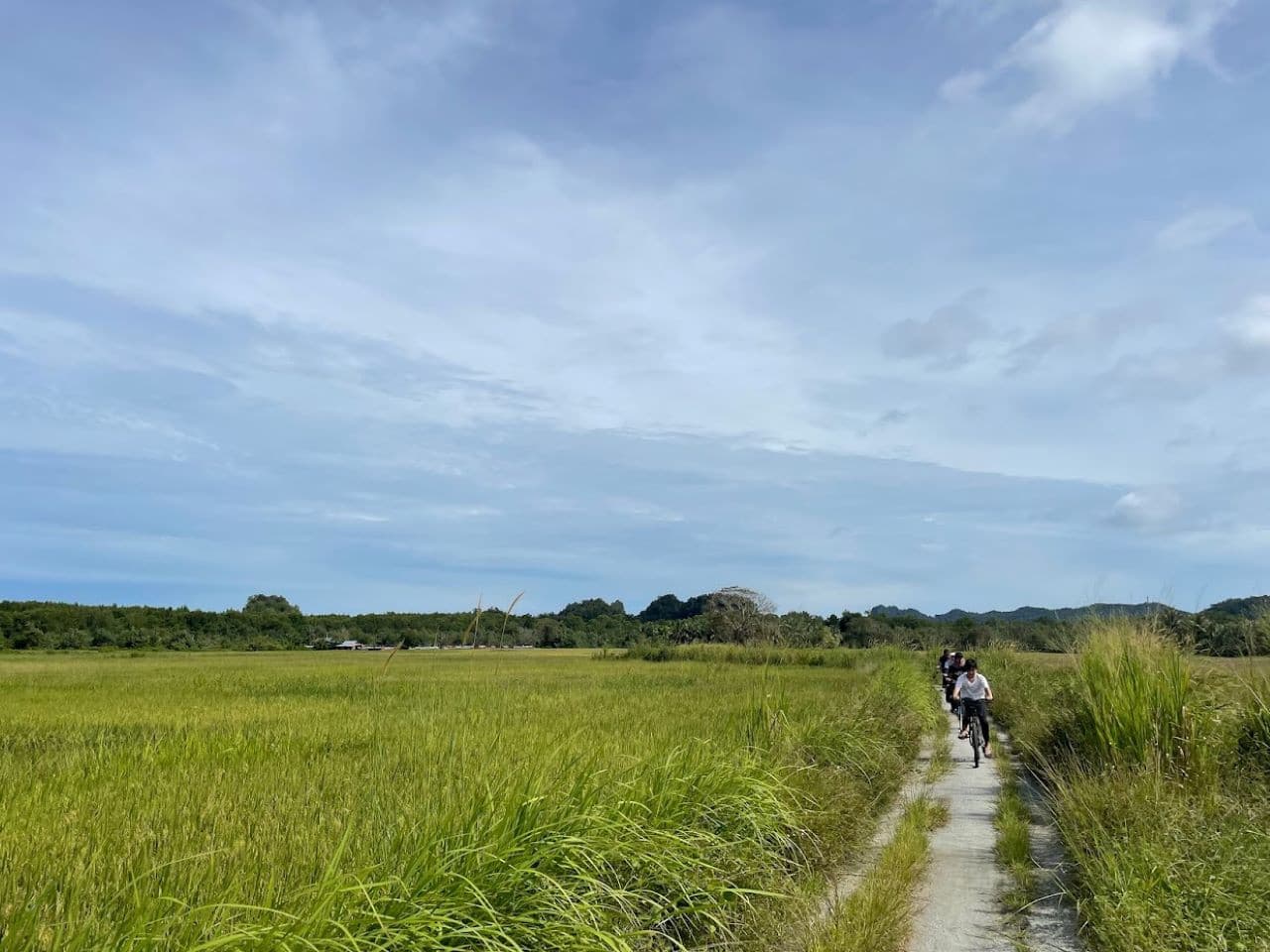 Tour en bicicleta por la campiña de Langkawi - imagen 2