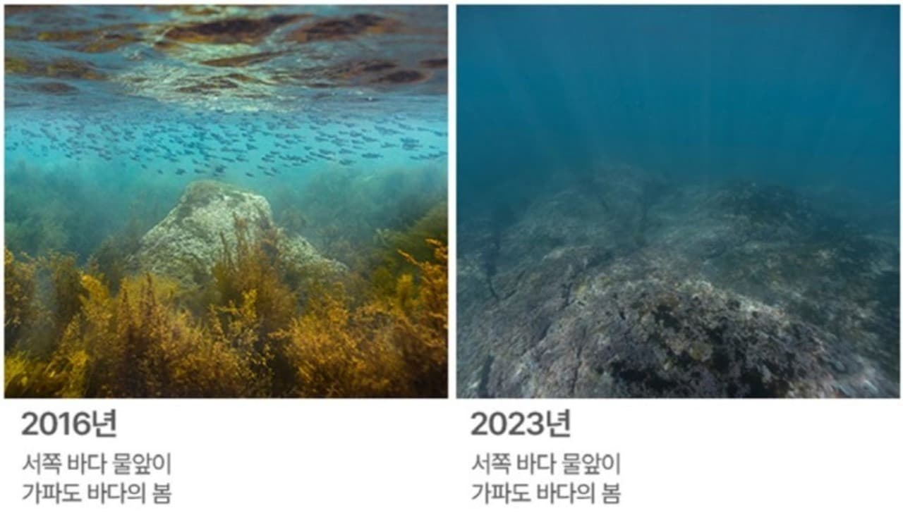 Entrada para el acuario Aqua Planet Jeju - imagen 17