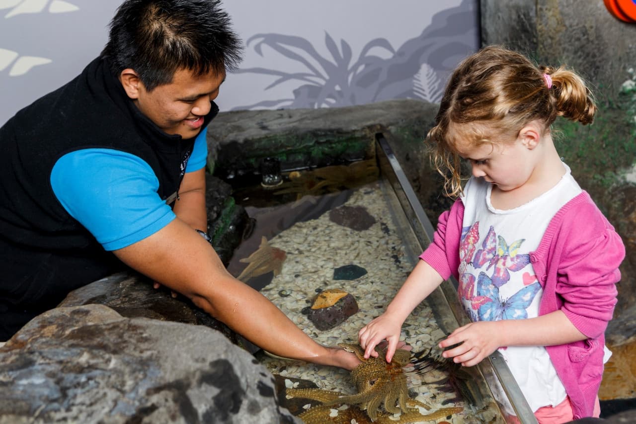 SEA LIFE Kelly Tarlton's Aquarium Ticket - image 4