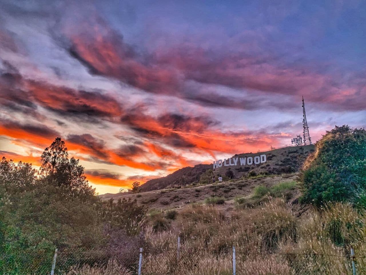 Go City Los Angeles All-Inclusive Pass: Save up to 50% on Attractions - image 8