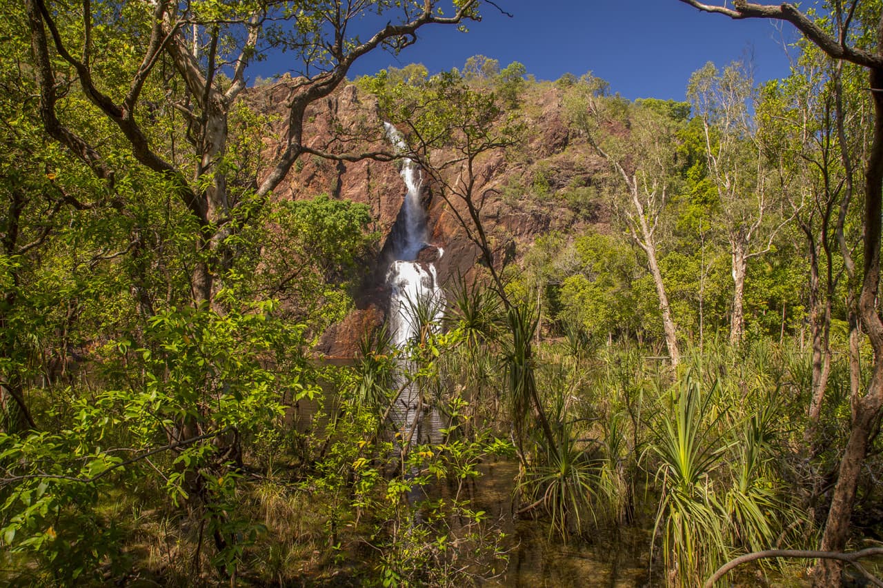 Litchfield National Park and Waterfalls Tour from Darwin - image 6