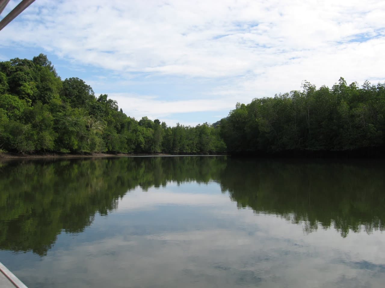 Langkawi Mangrove River Cruise and Snorkeling - image 2