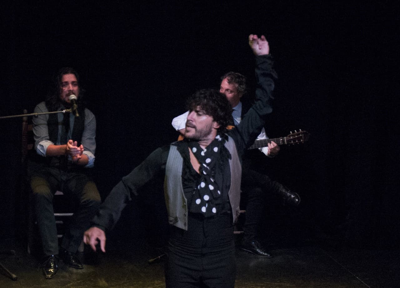 Flamenco Show at Triana Theater - image 5
