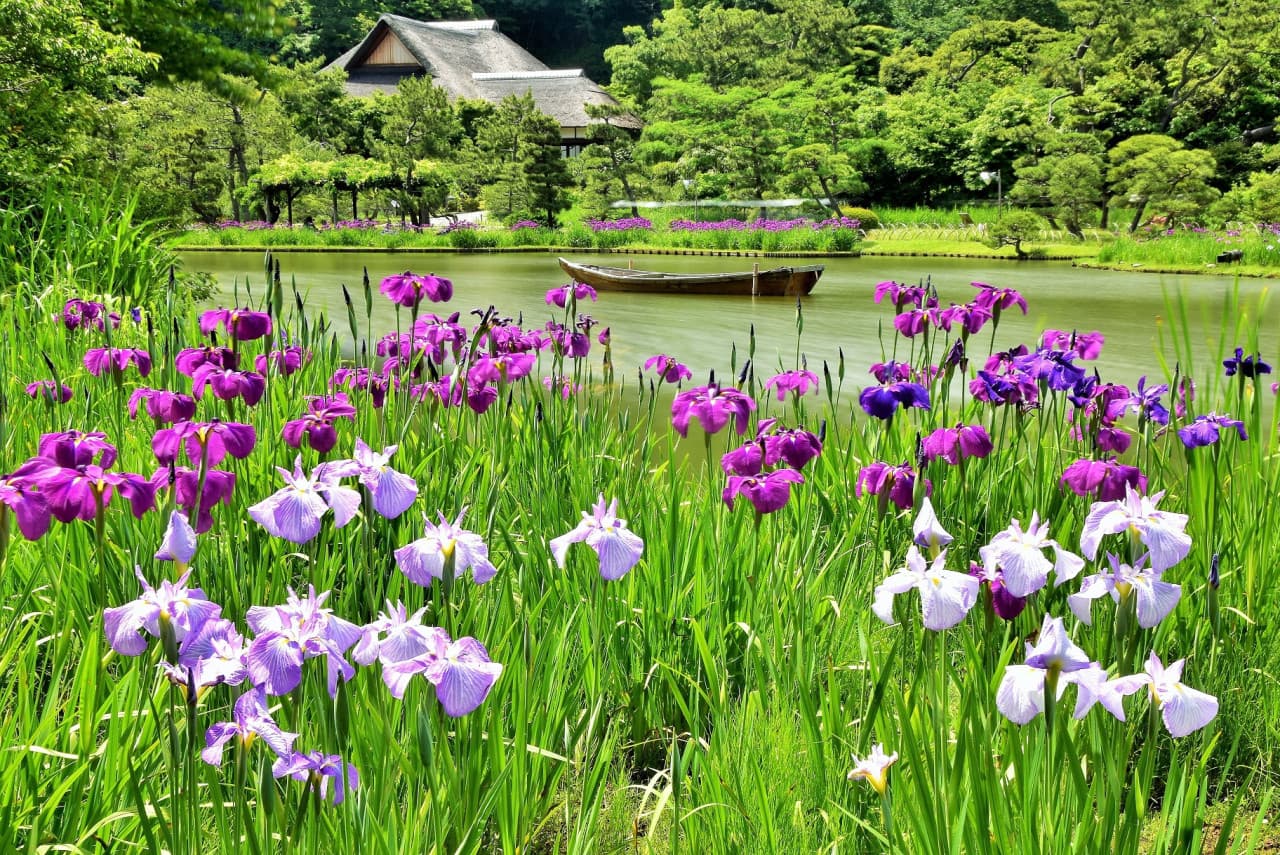 Sankeien Garden Ticket - image 3