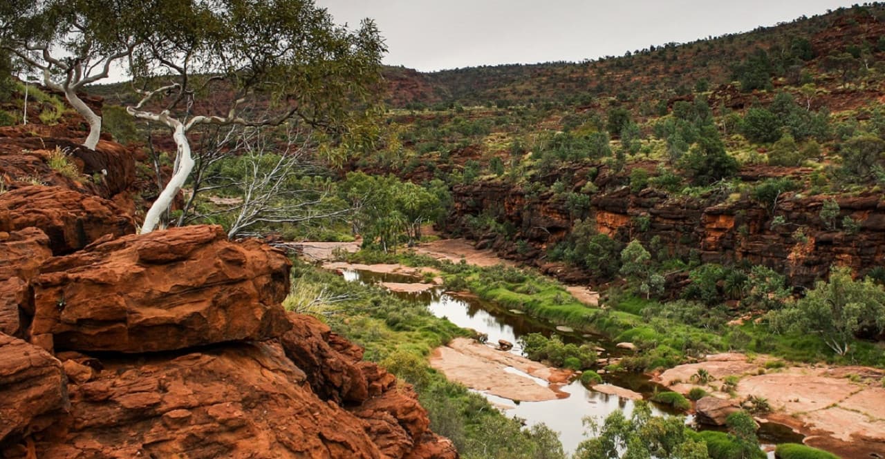 Palm Valley Outback Safari 4WD Tour - image 5