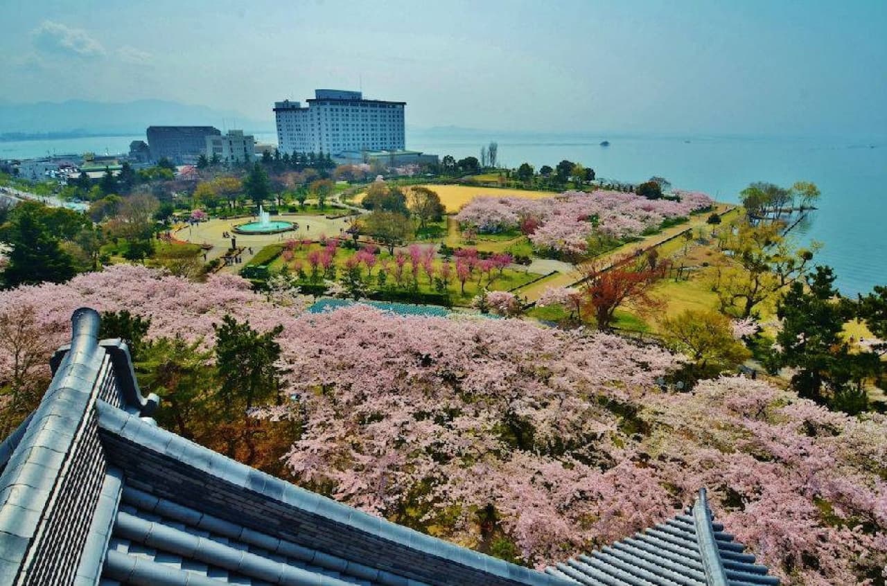 JR Kansai WIDE Area Pass - image 8