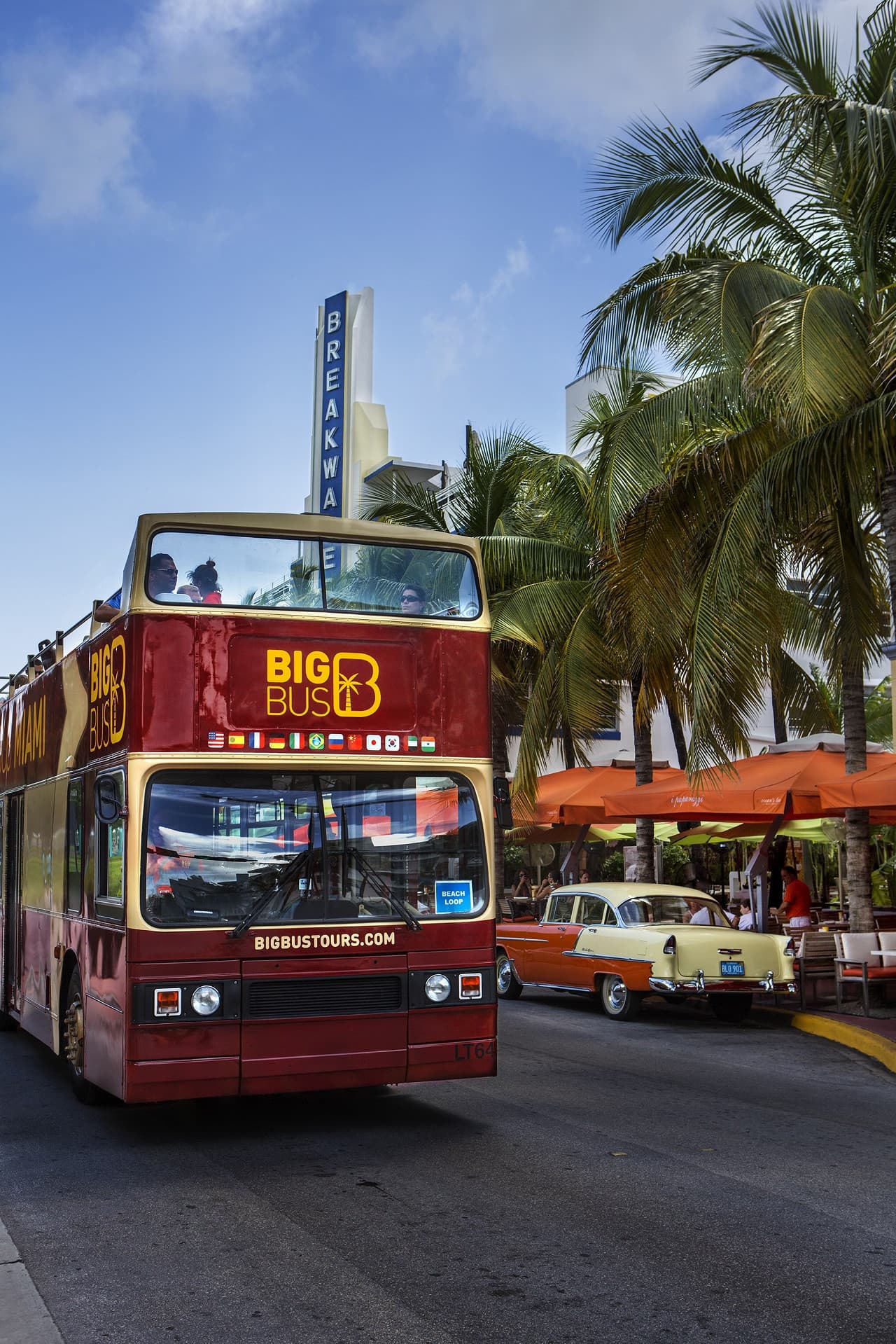 Big Bus Miami Hop-on Hop-off Bus Tour - image 7
