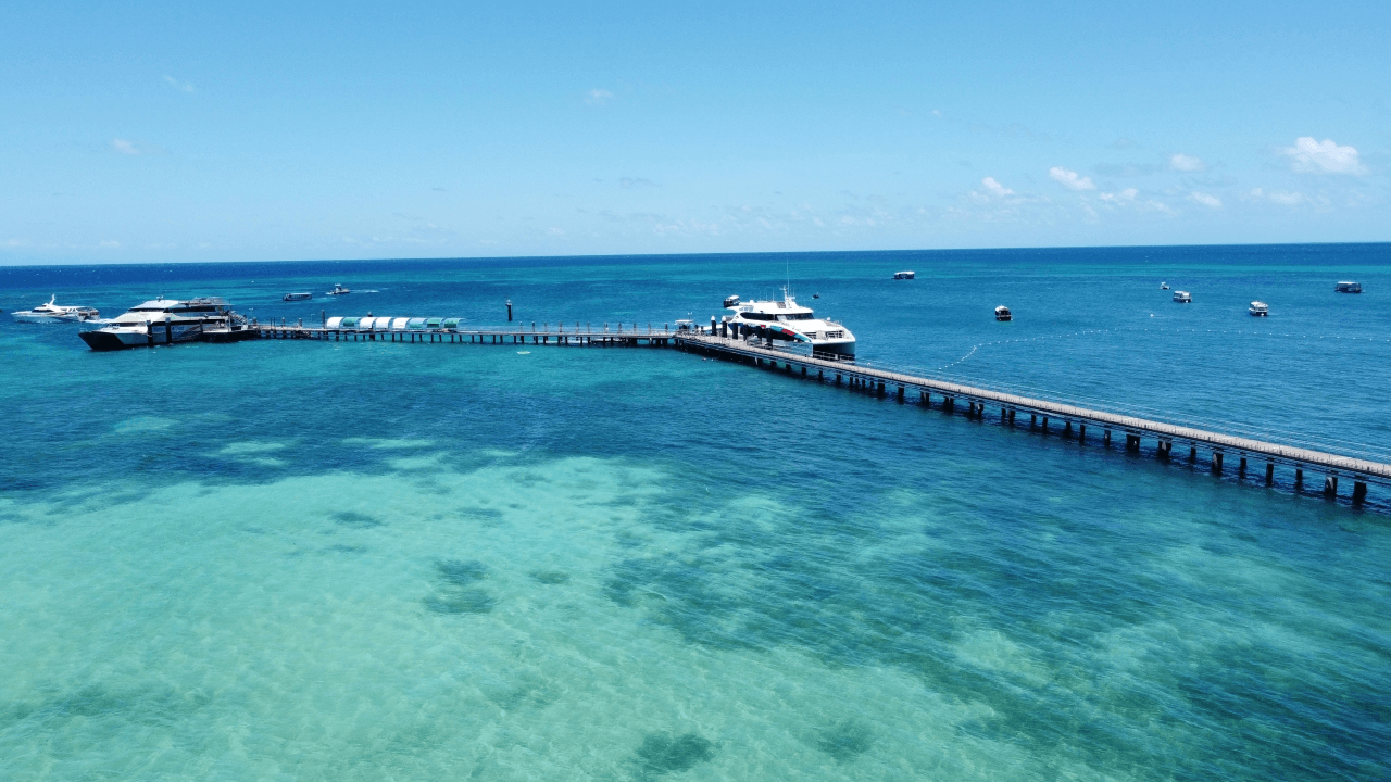 Green Island Great Barrier Reef Half Day Tour from Cairns - image 8