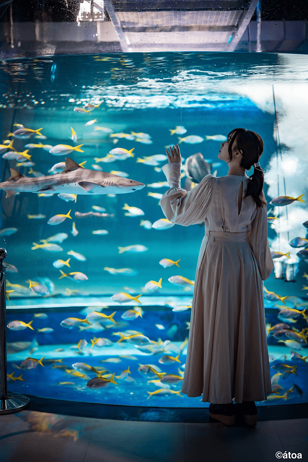 Kobe Urban AQUARIUM×ART atoa - image 3