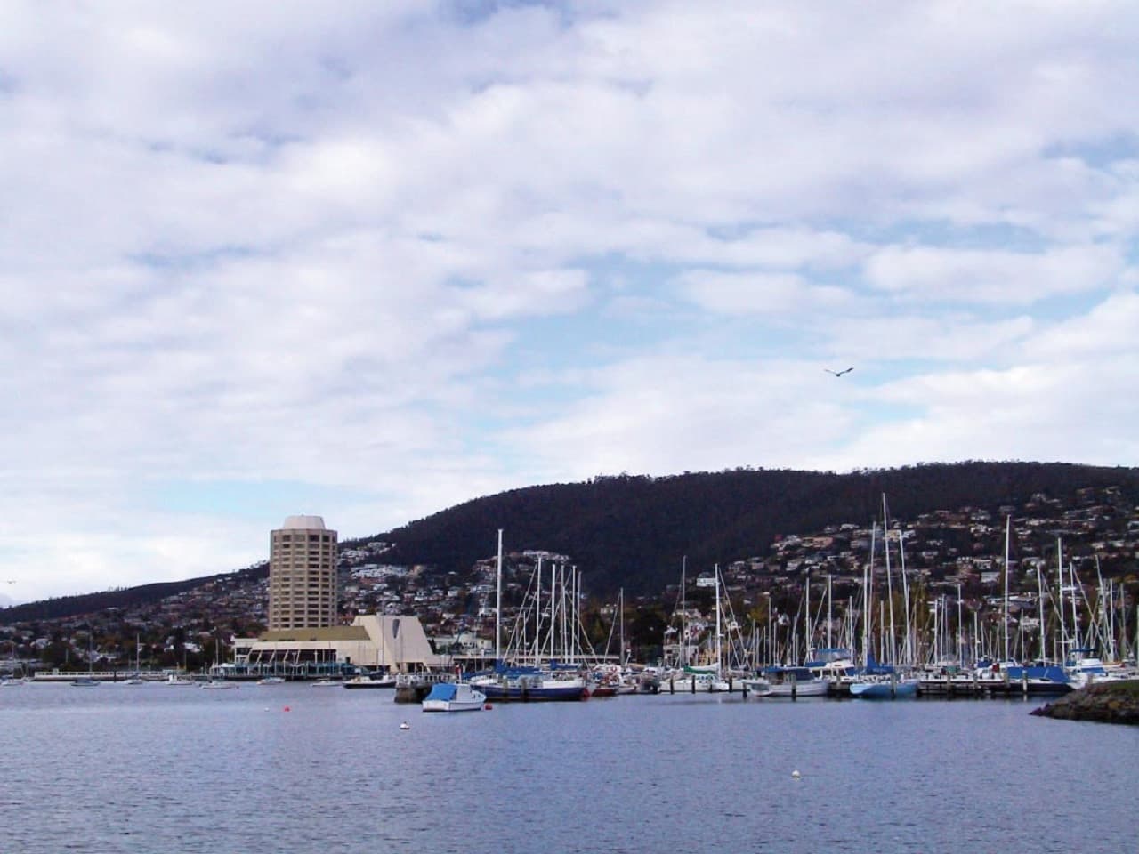 Sullivan's Cove and Hobart City Tour - image 19
