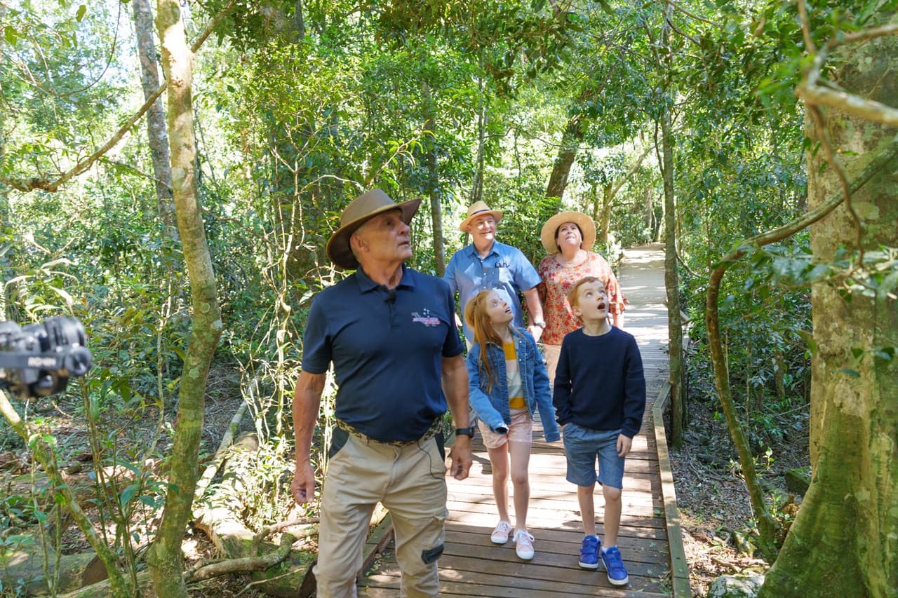 Lamington National Park Tour: O'Reilly's Rainforest Retreat and Canungra Valley Vineyard - image 2