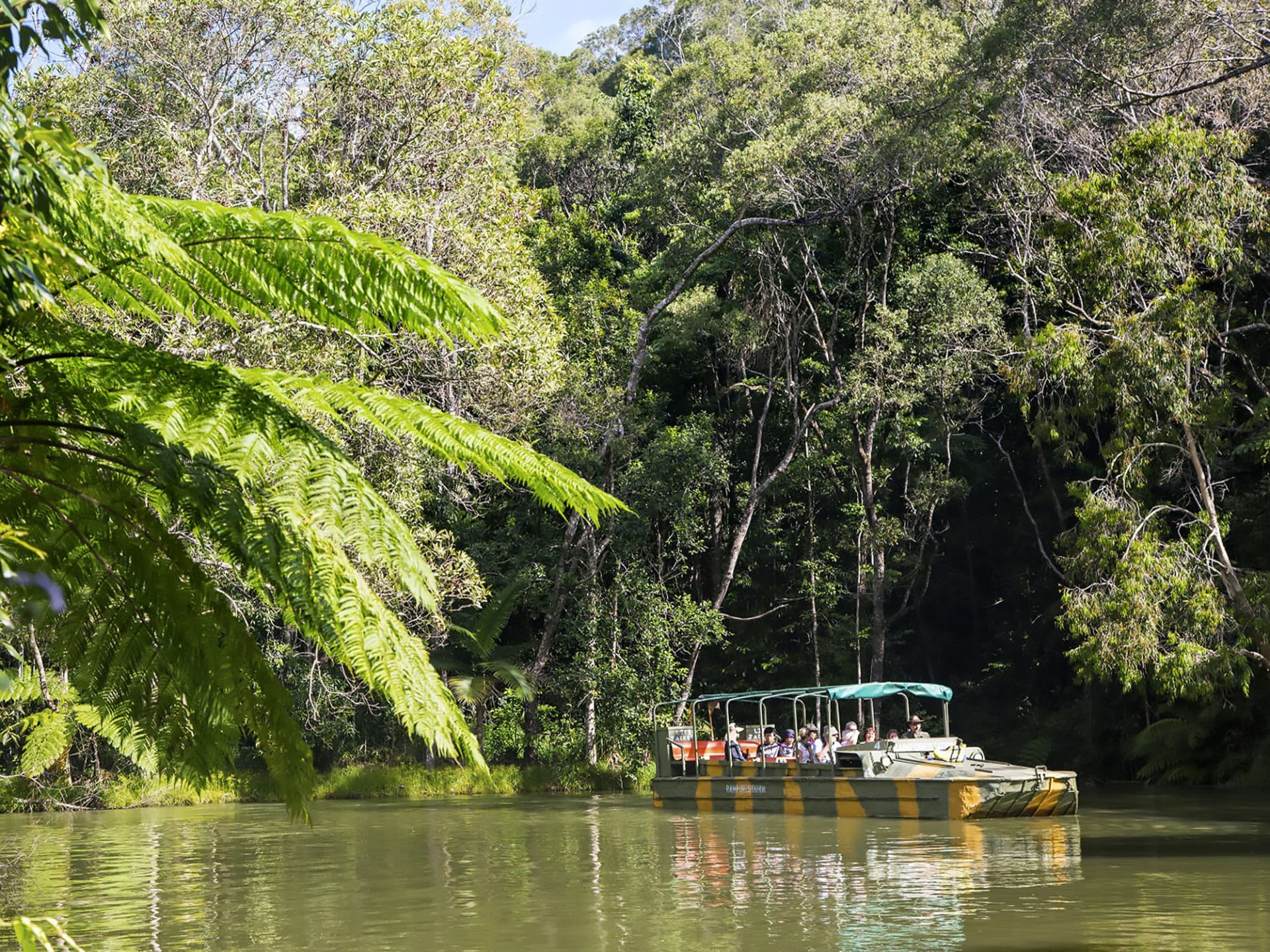 Full-Day Kuranda Tour with Skyrail Cableway, Scenic Railway, Rainforestation and Butterfly Sanctuary - image 7