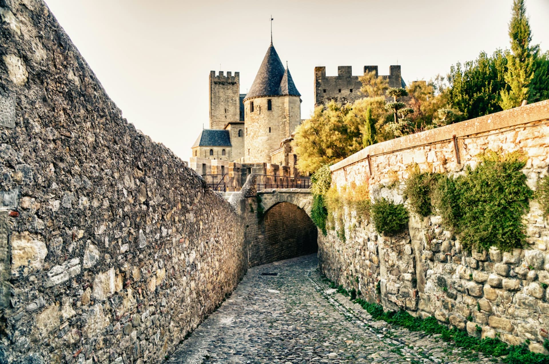 Cite de Carcassonne: Castle + Ramparts + Museum - main image
