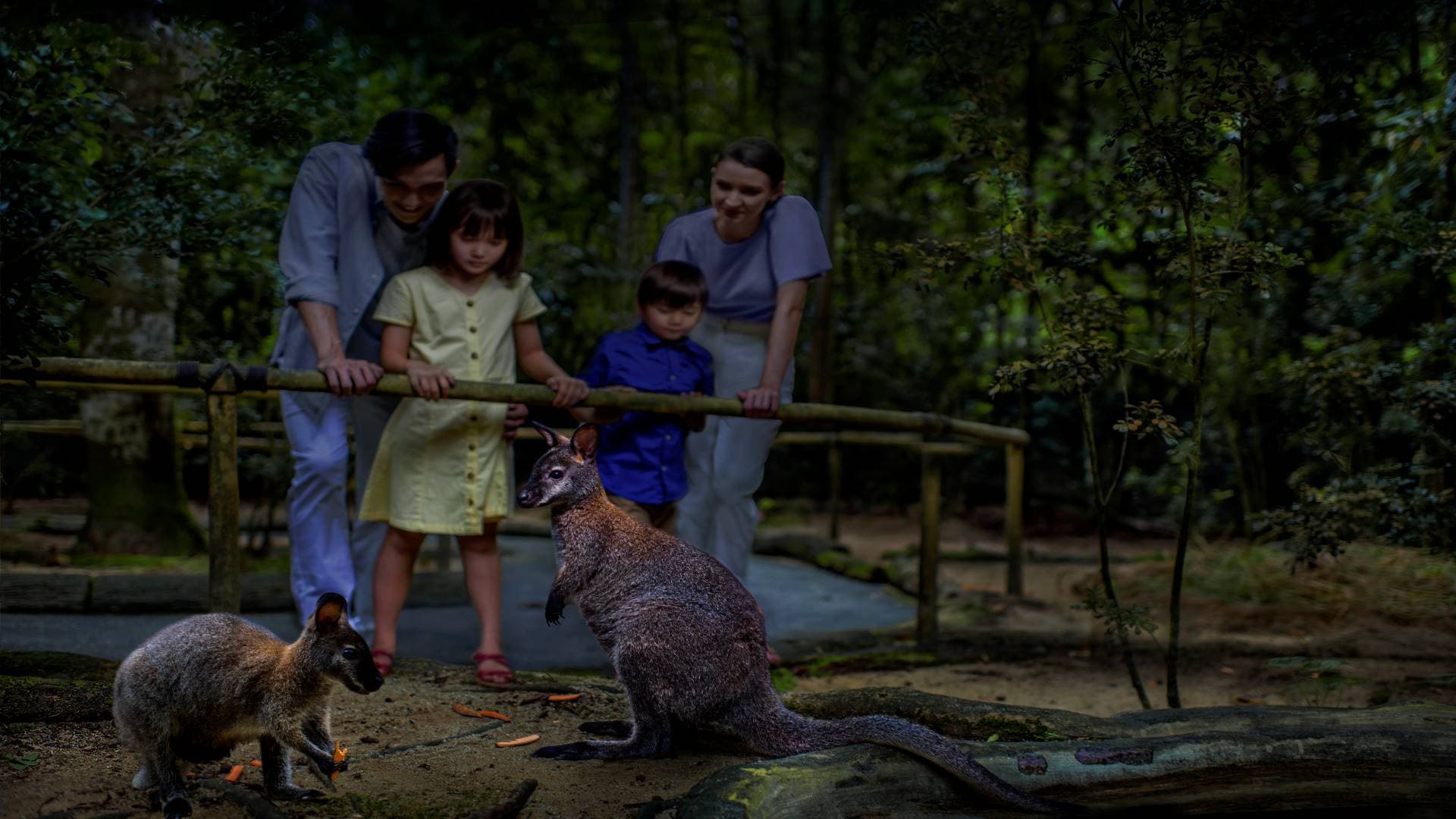 Mandai Destination Pass: Visit Up to 6 Attractions in 1 or 5 Days - image 15