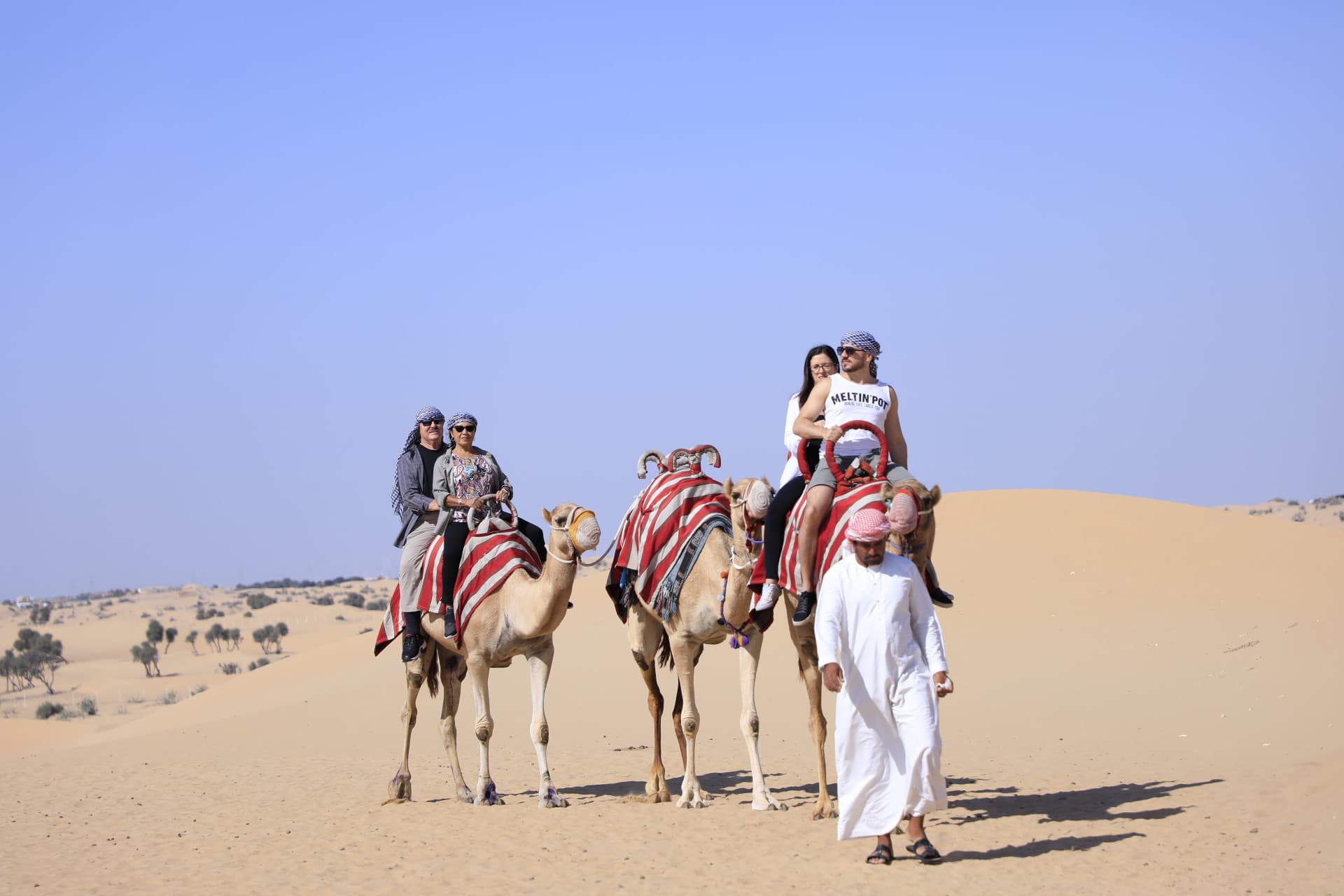 Half-Day Desert Safari, Camel Ride with Refreshments - image 4