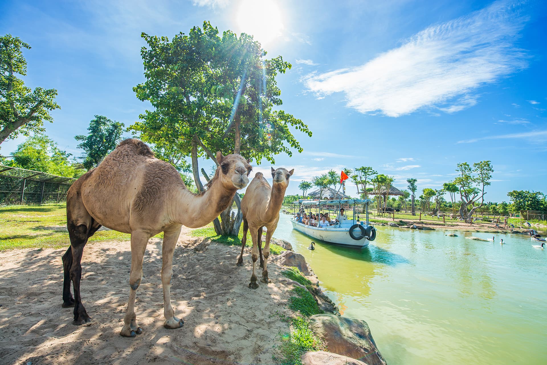 VinWonders Nam Hoi An Amusement Park Ticket - image 13