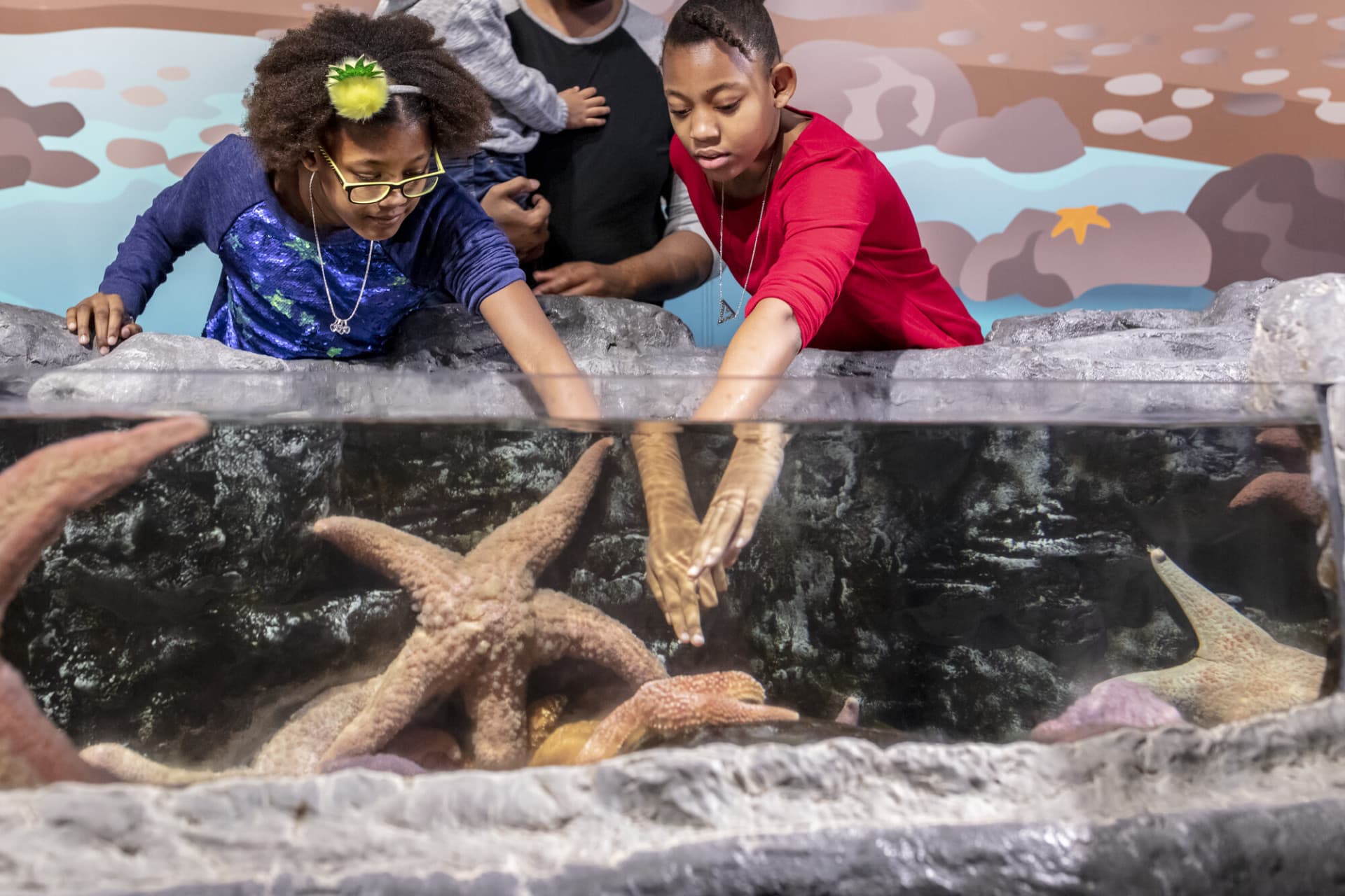Go City Chicago All-Inclusive Pass: Save up to 50% on Attractions - image 44