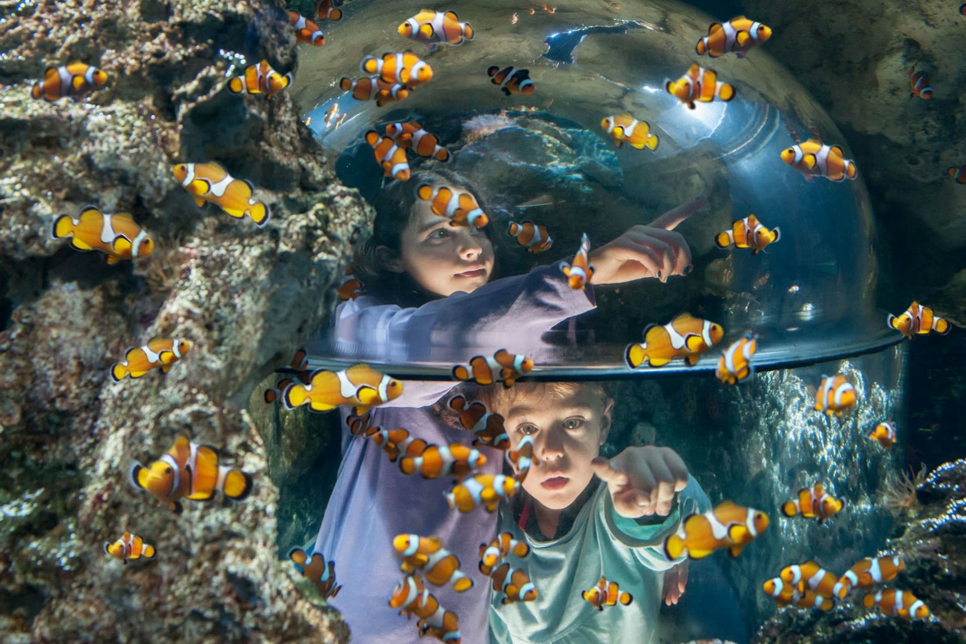 Gardaland SEA LIFE Aquarium Ticket - image 5