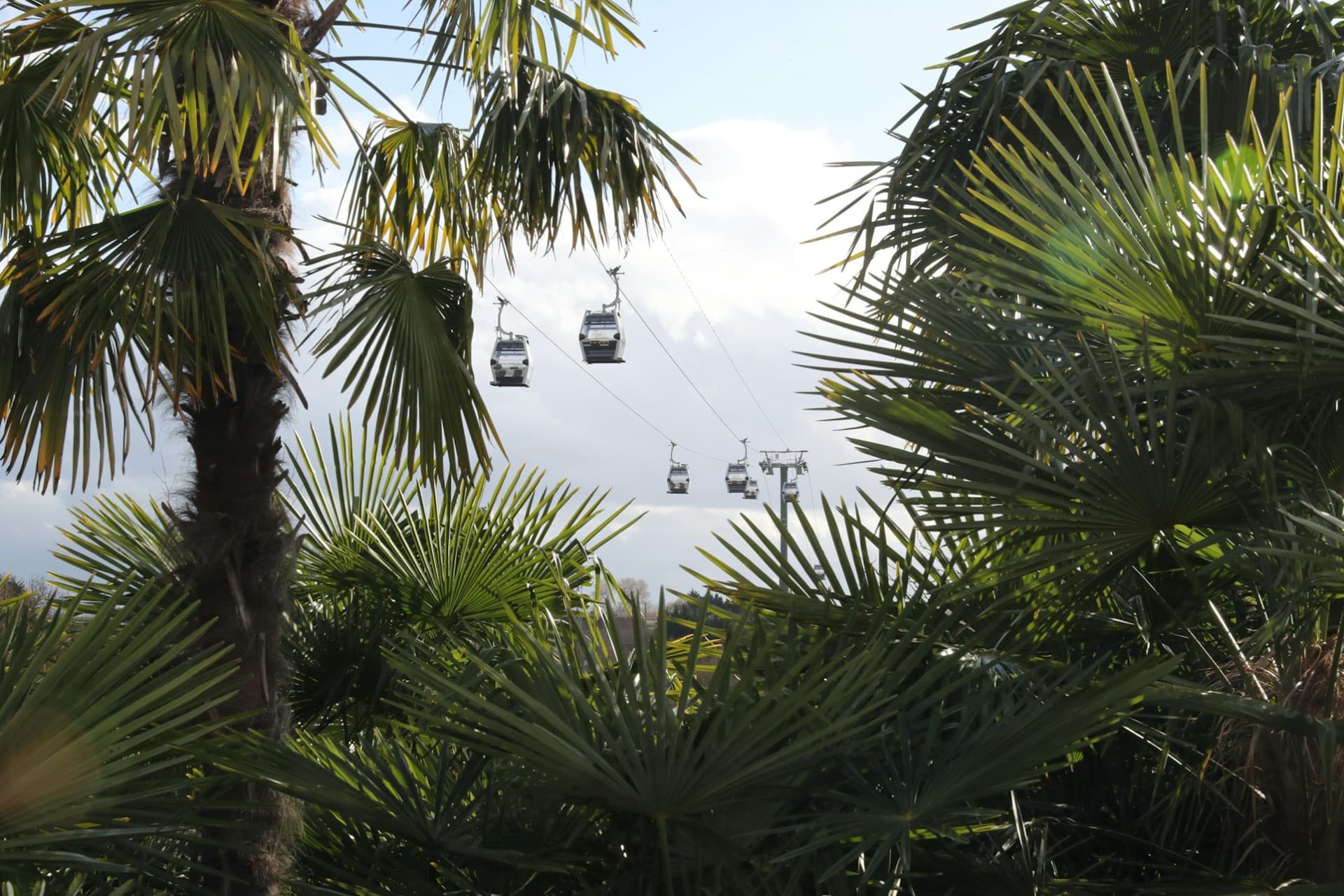 ZooParc de Beauval Ticket - 이미지 8