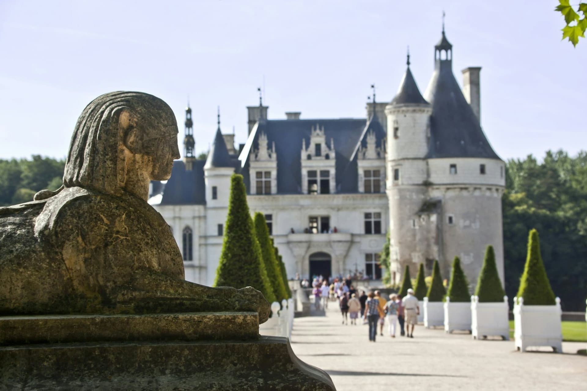 Château de Chenonceau Ticket - image 7