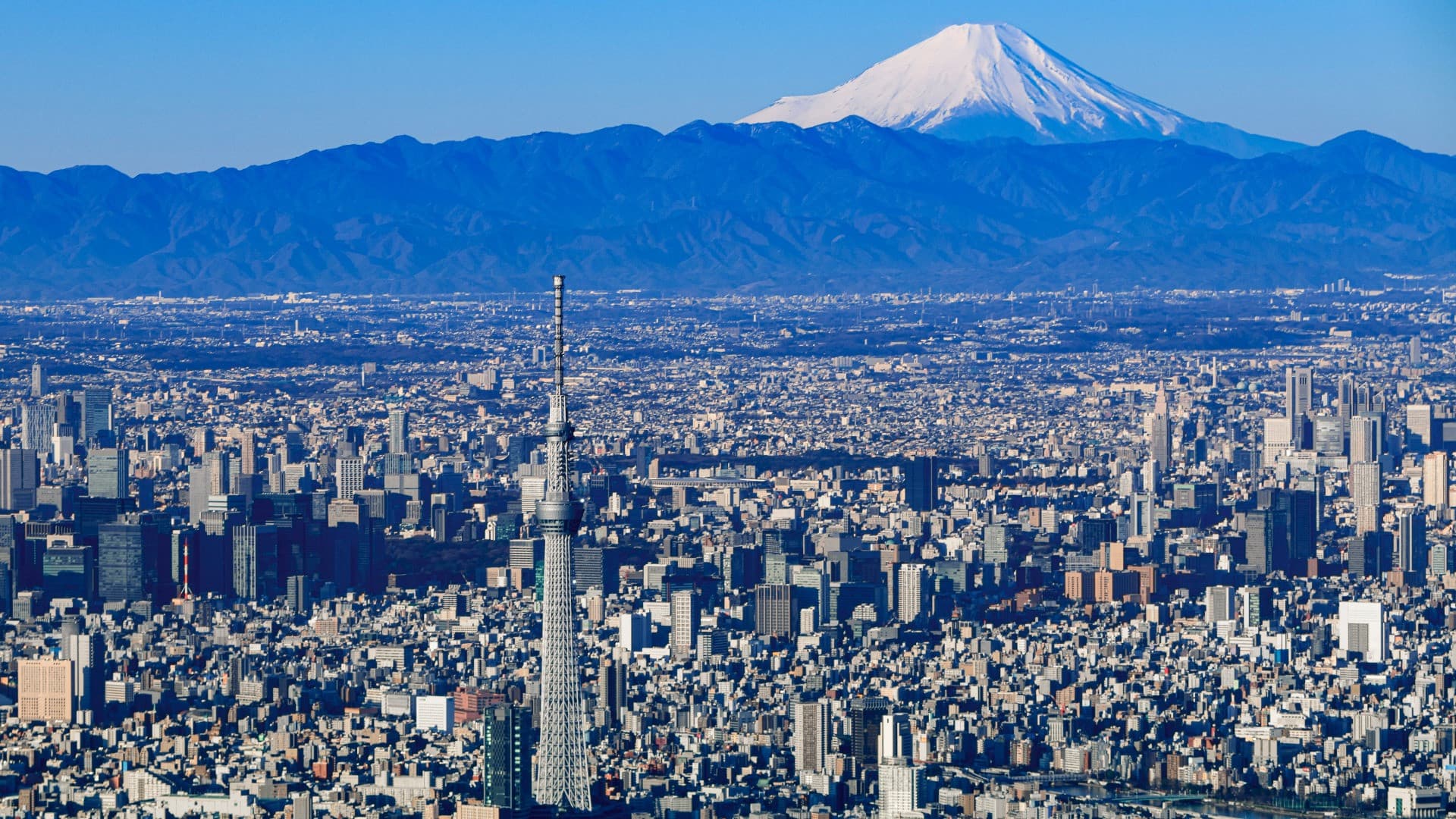 Entrada para el mirador Tokyo Skytree - imagen 4
