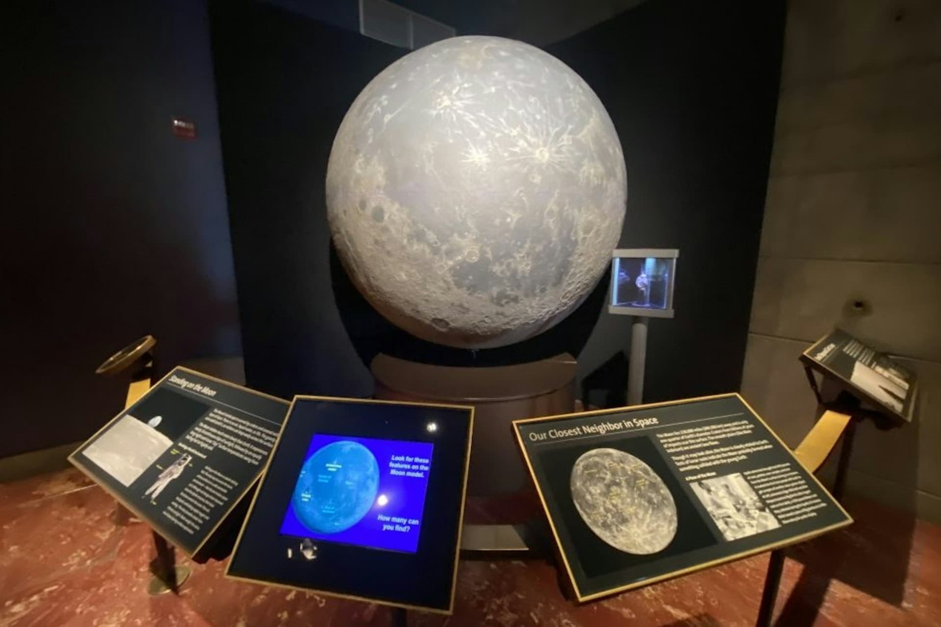 Griffith Observatory: Guided Tour + Planetarium Show Ticket - image 11