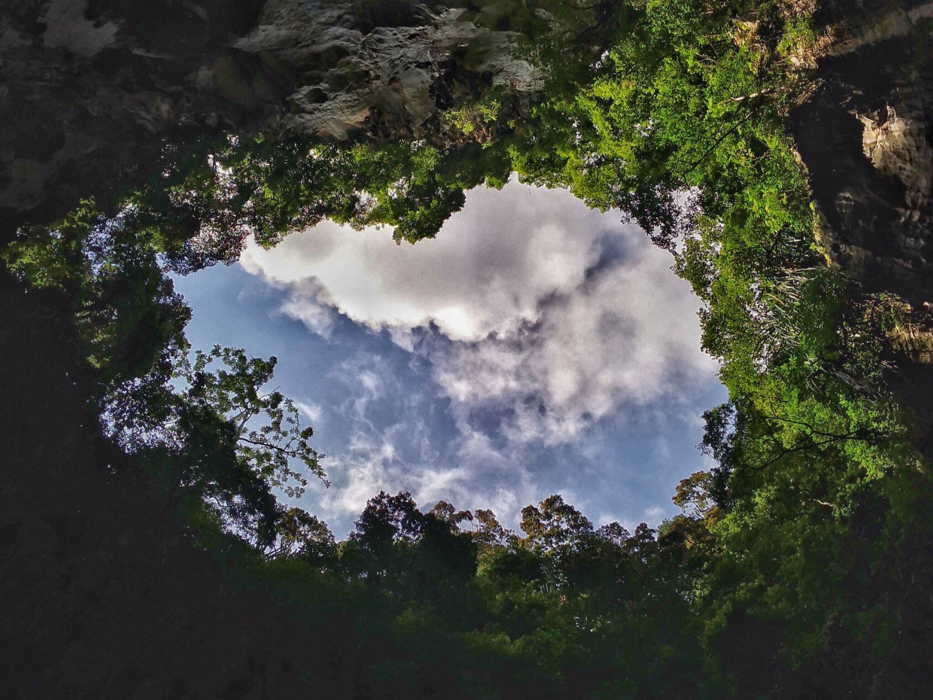 Batu Caves and Kuala Lumpur Countryside Tour - image 7