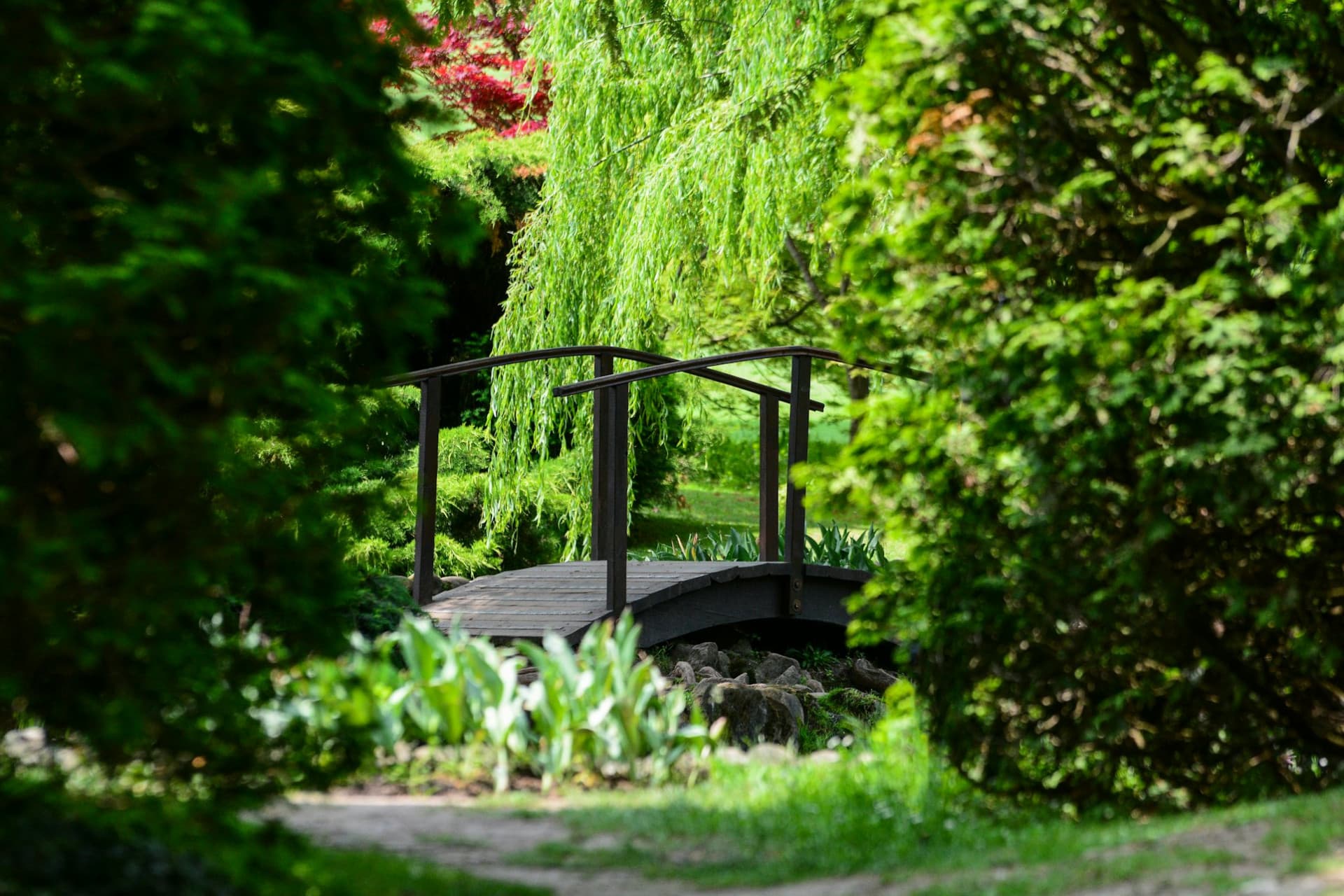 Parco Giardino Sigurtà Ticket - image 6
