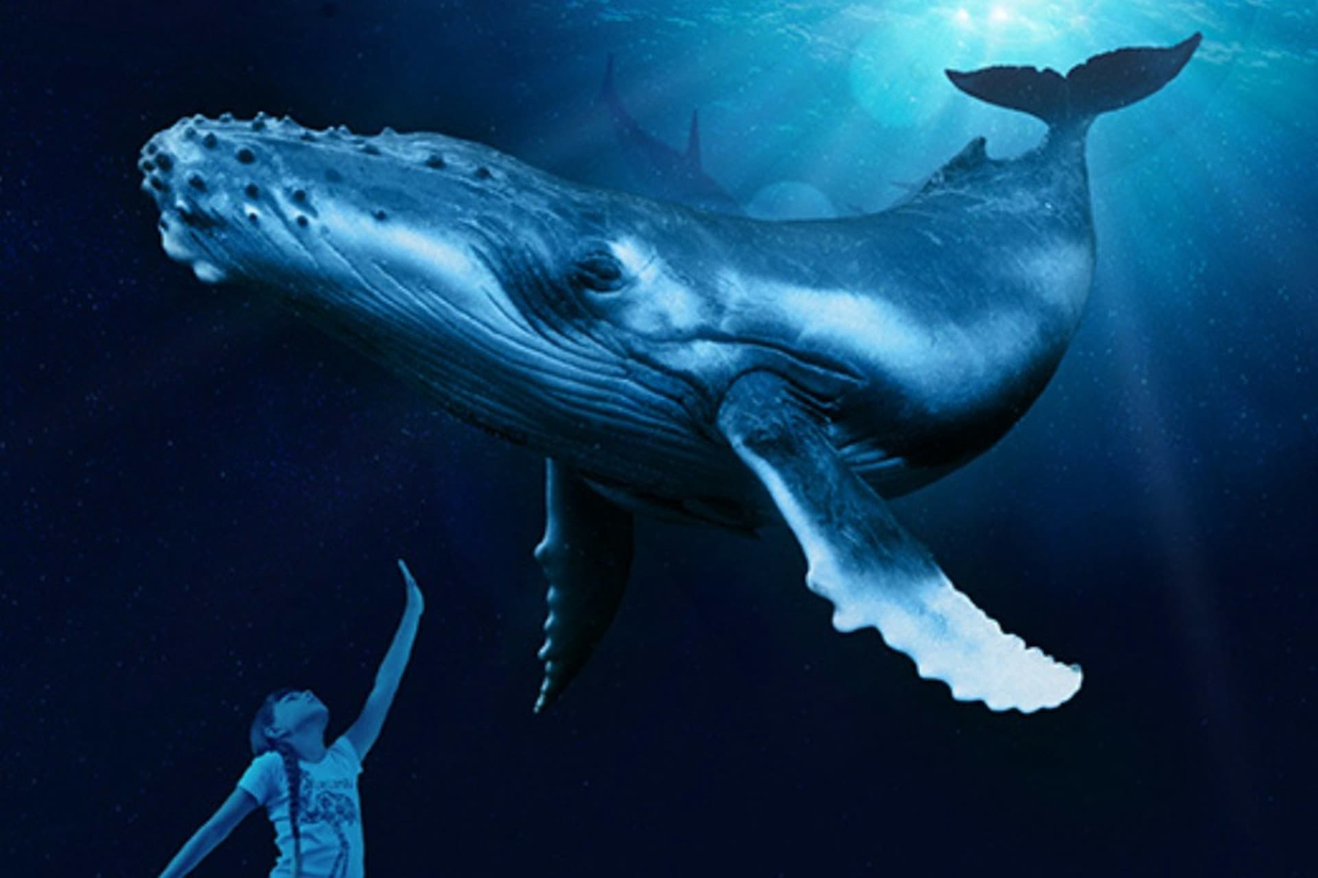 Palma Aquarium: Skip The Line Ticket + Optional 3D Cinema Aquadome - image 3
