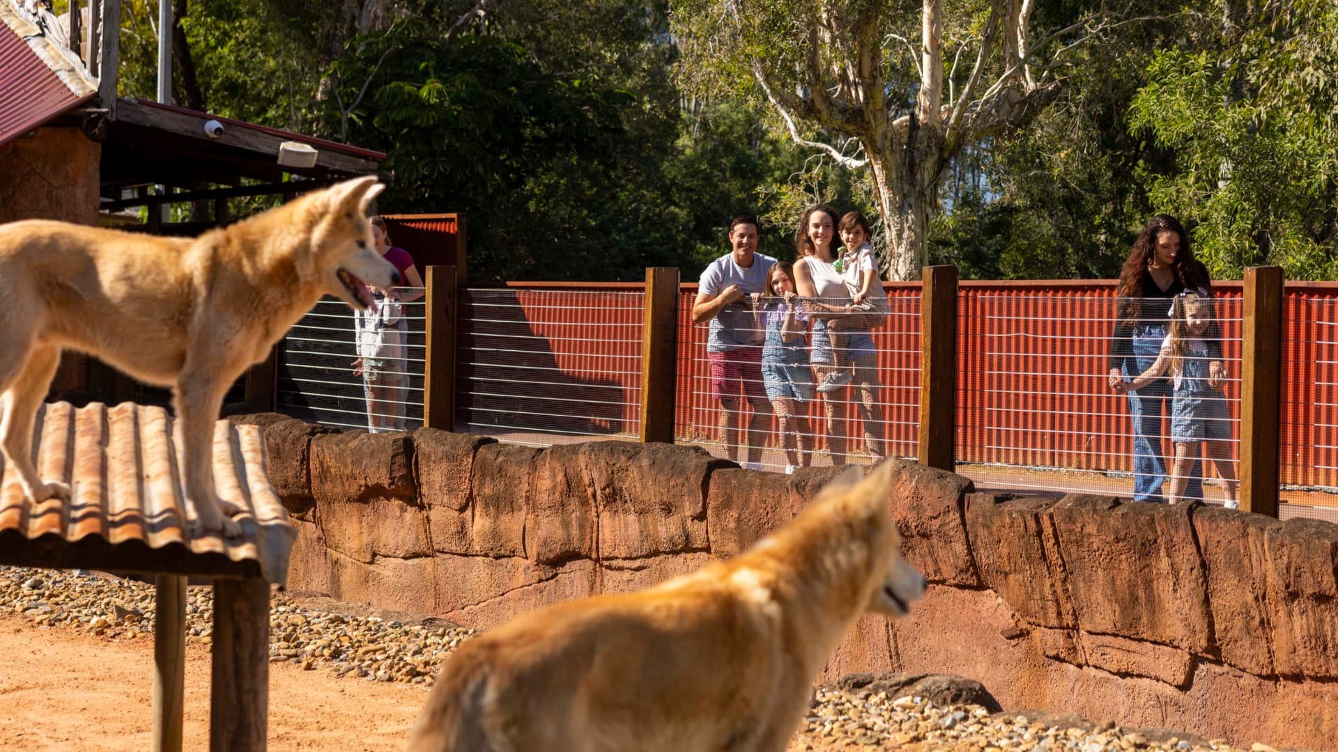 Entrada multidía para Dreamworld, WhiteWater World y SkyPoint Gold Coast - imagen 7
