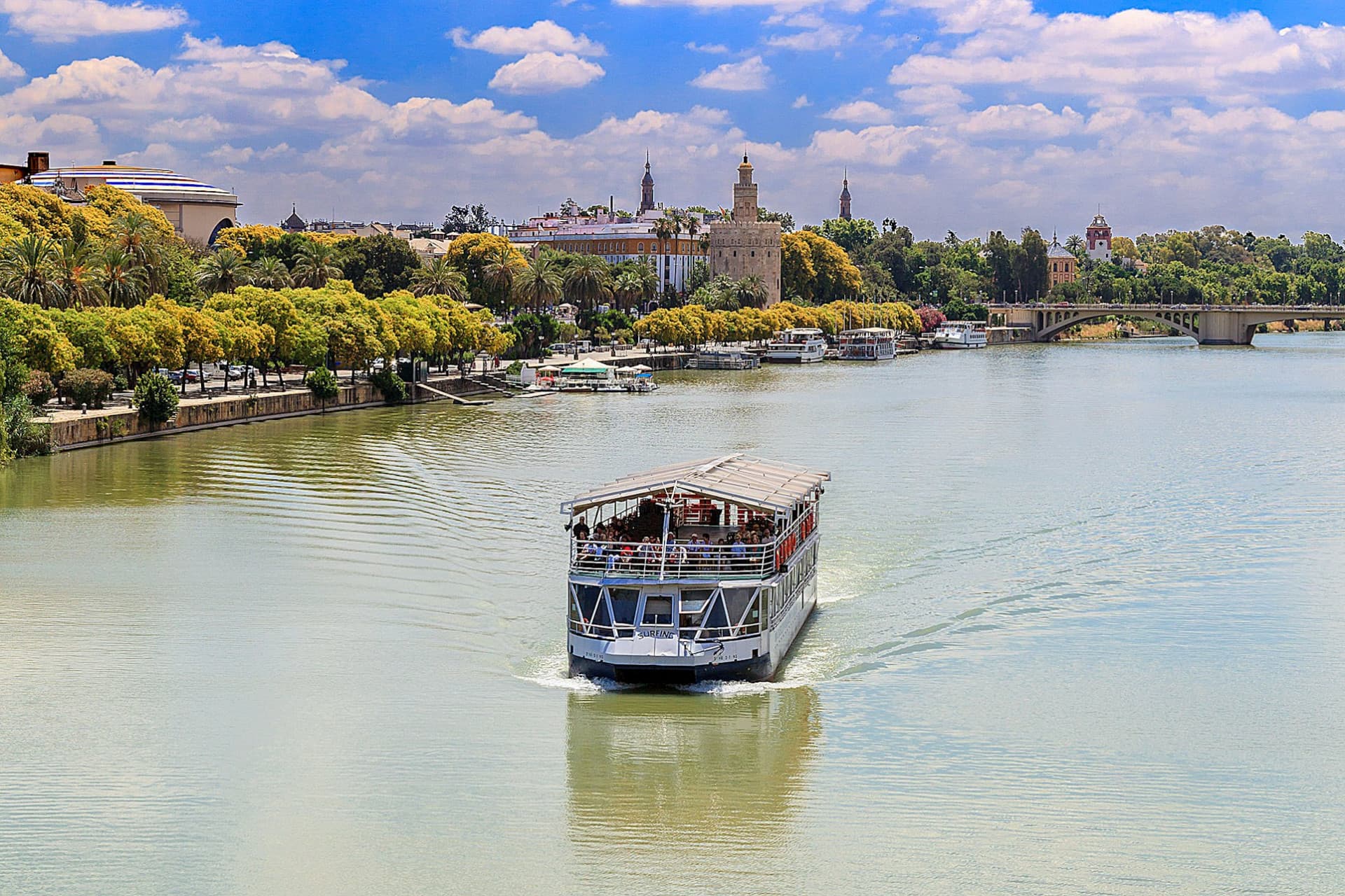 Seville: Sightseeing Cruise from Torre Del Oro - image 3