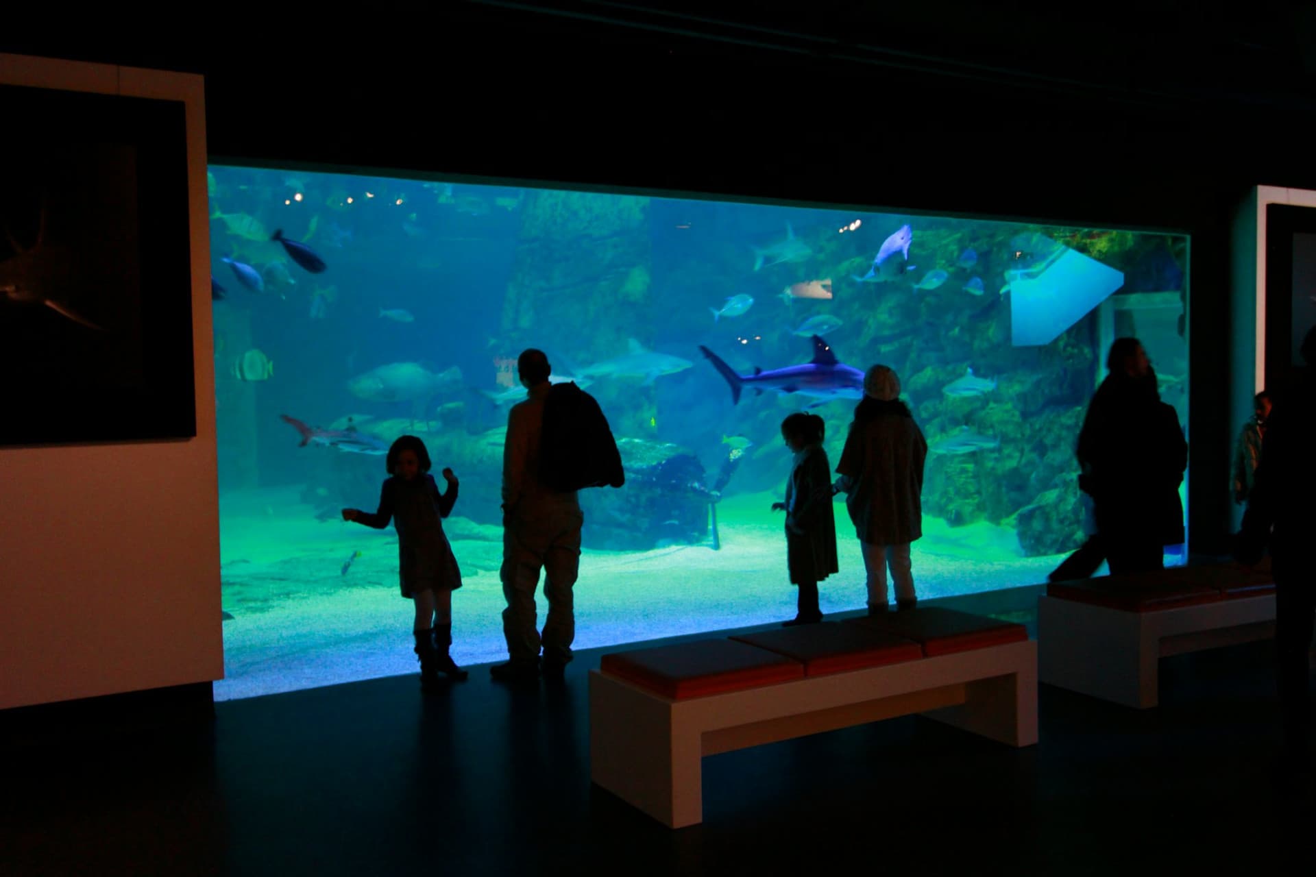 Seaquarium Le Grau-du-Roi Ticket - image 9
