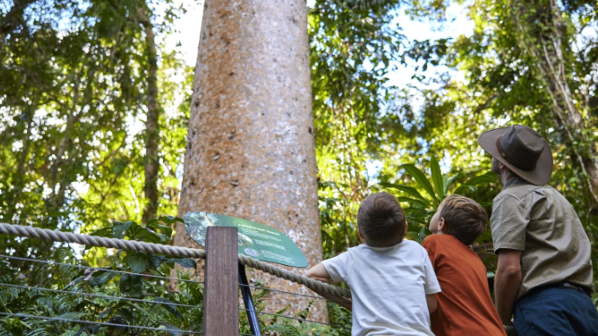 Skyrail Rainforest Cableway with Optional Kuranda Scenic Train Ticket and Hotel Pick-Up - image 10