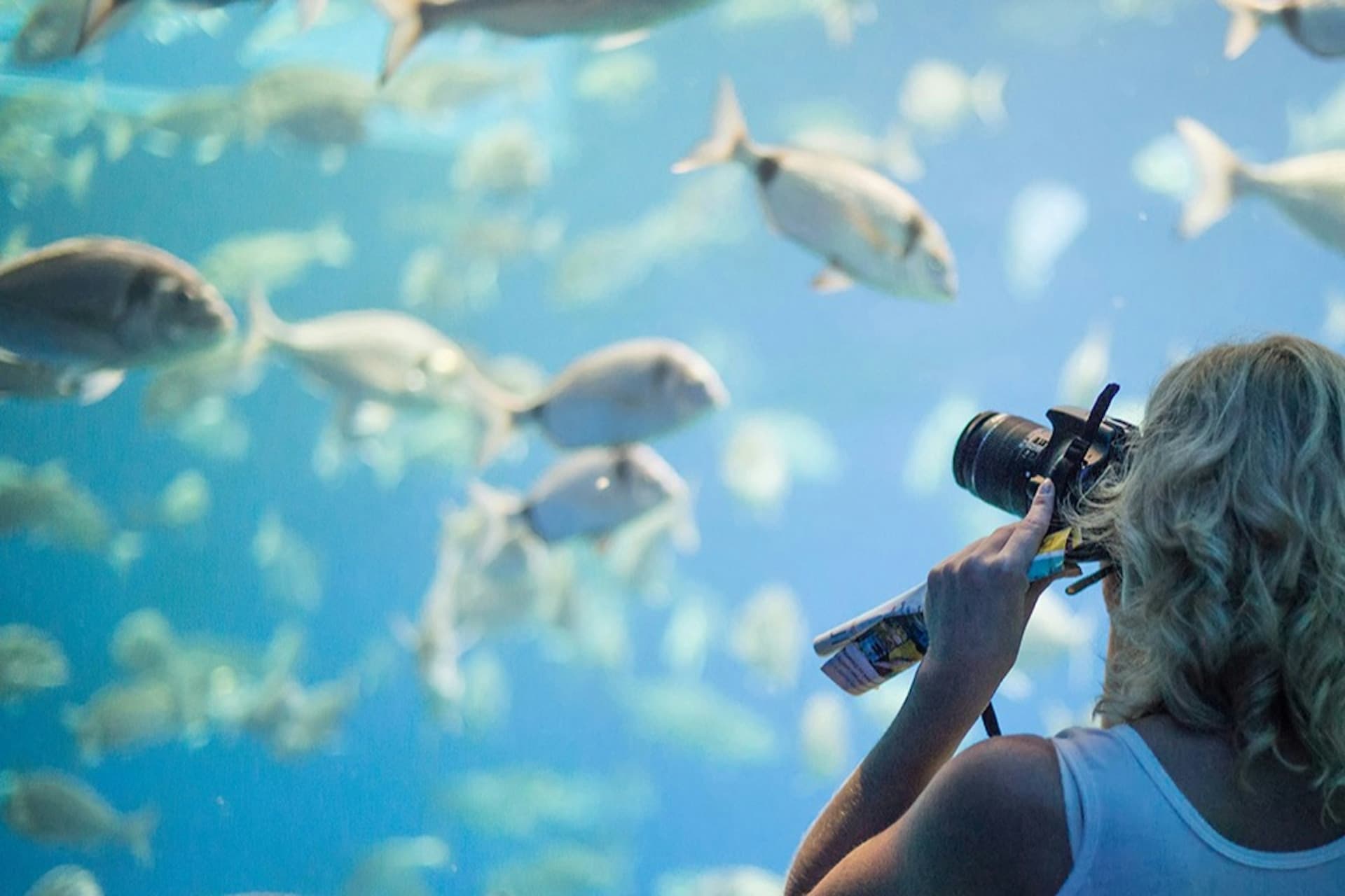Palma Aquarium: Skip The Line Ticket + Optional 3D Cinema Aquadome - image 8